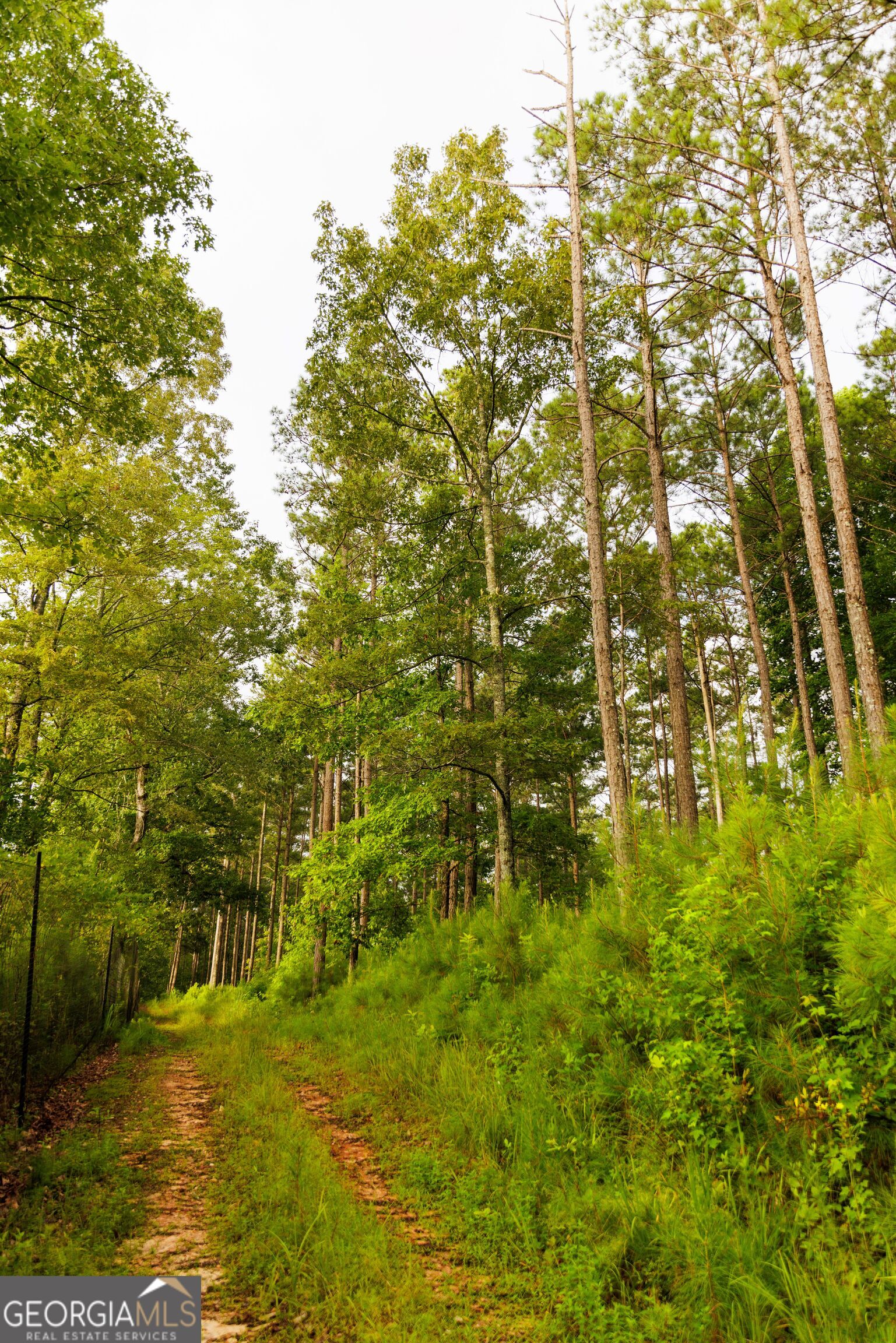 2199 Roosterville Road Roopville GA 30170