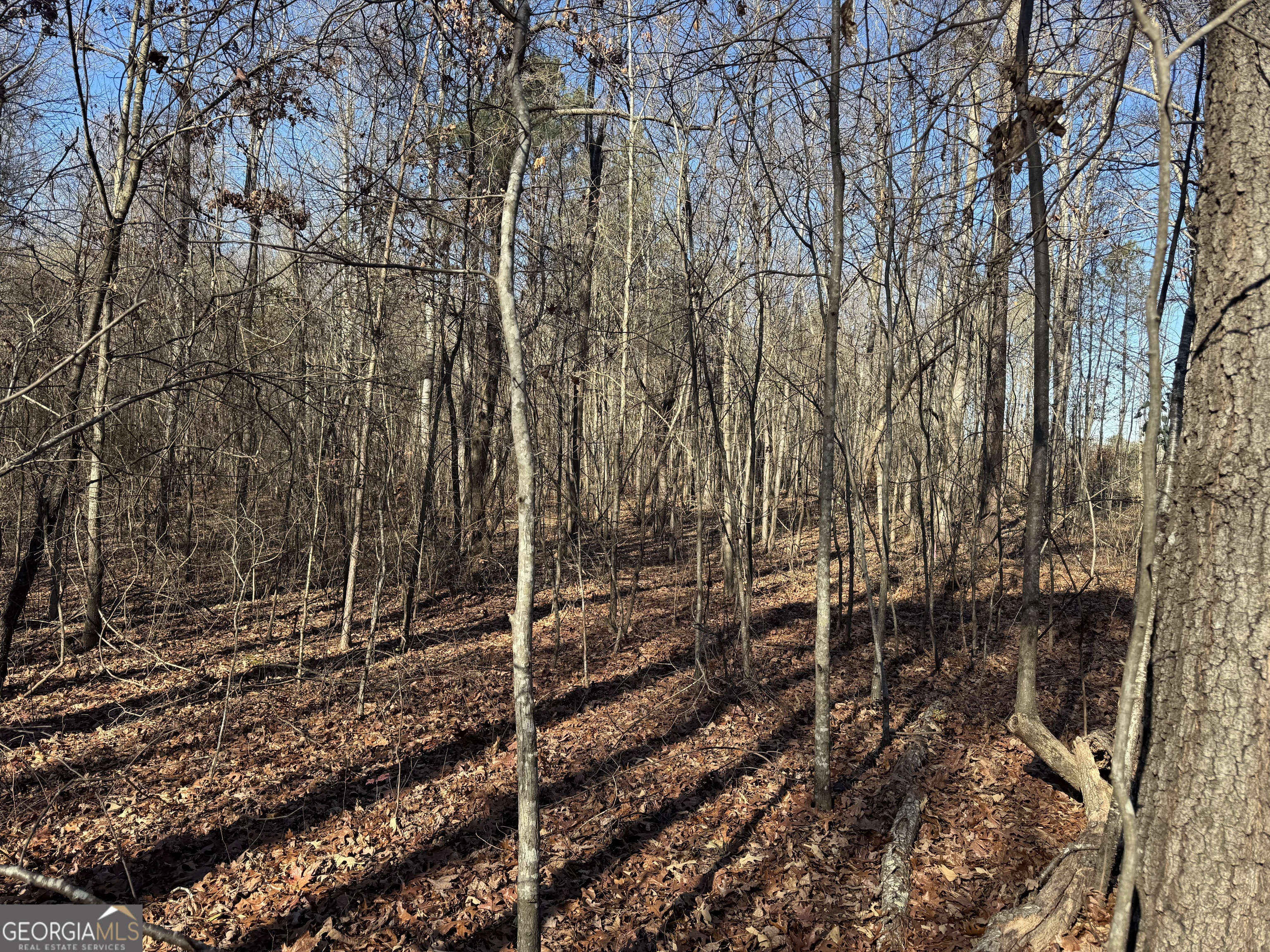 4611 Monroe Highway - Highway 78 Bogart GA 30622