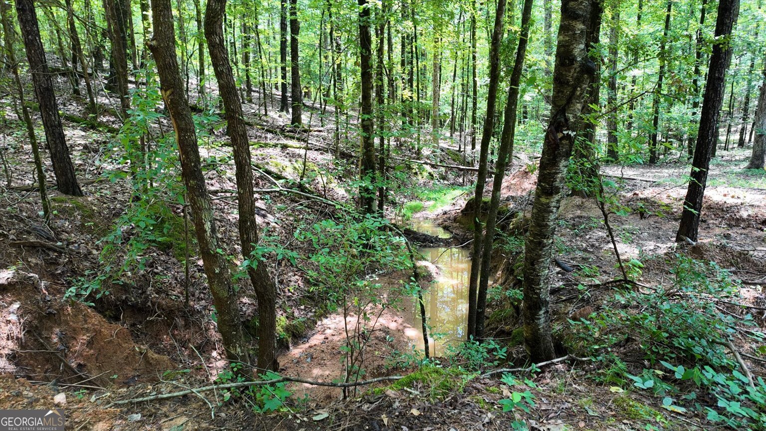 0 Lexington Highway Elberton GA 30635