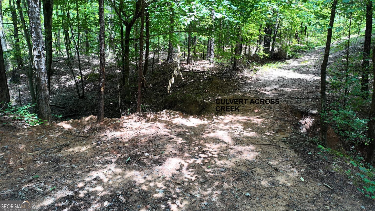 0 Lexington Highway Elberton GA 30635