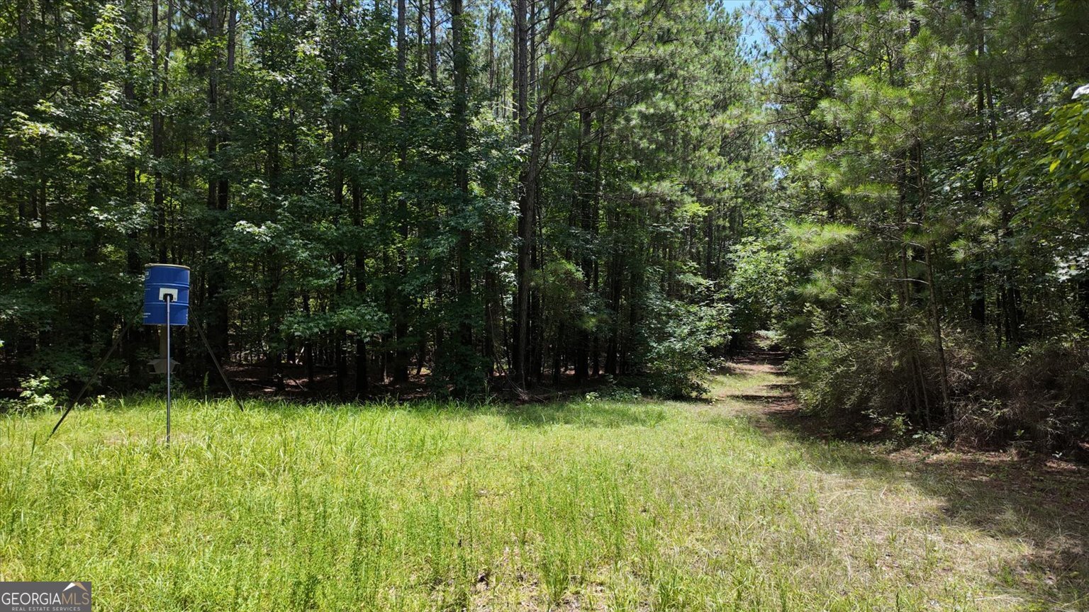0 Lexington Highway Elberton GA 30635