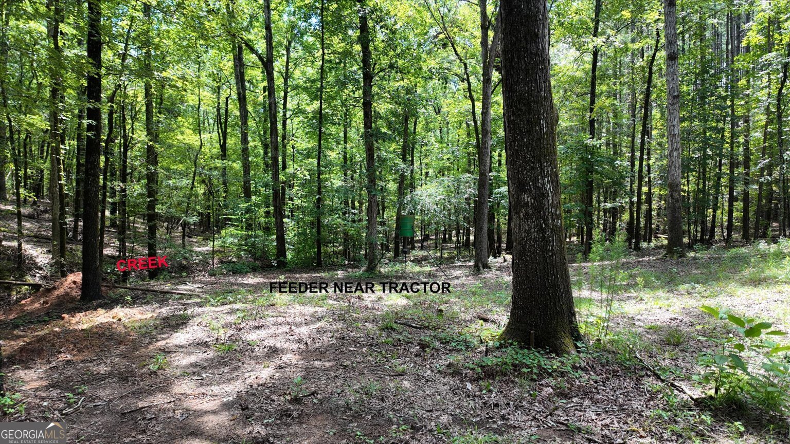 0 Lexington Highway Elberton GA 30635