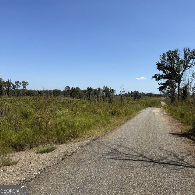 76 +/- Acres On Gibson Road Talbotton GA 31827