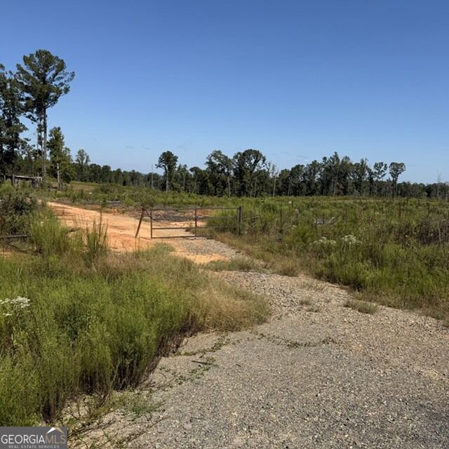 76 +/- Acres On Gibson Road Talbotton GA 31827