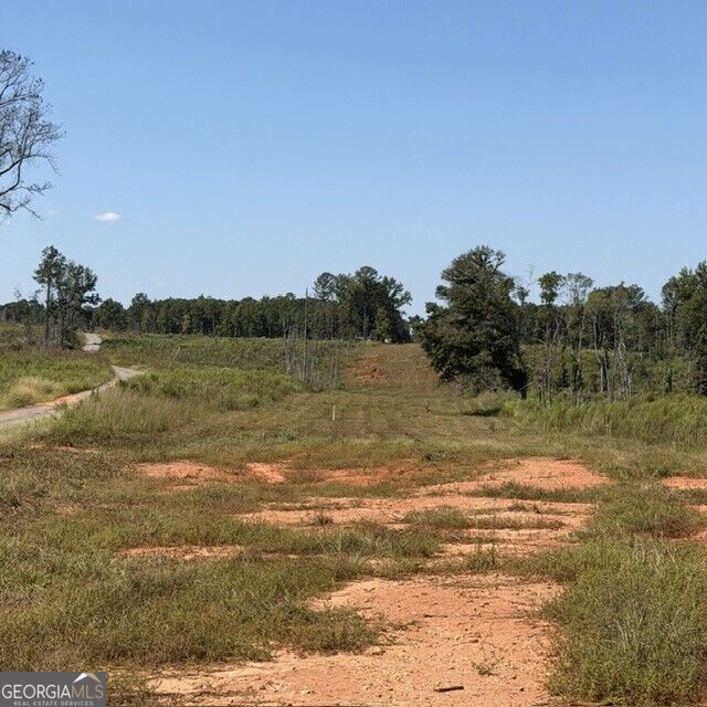 76 +/- Acres On Gibson Road Talbotton GA 31827