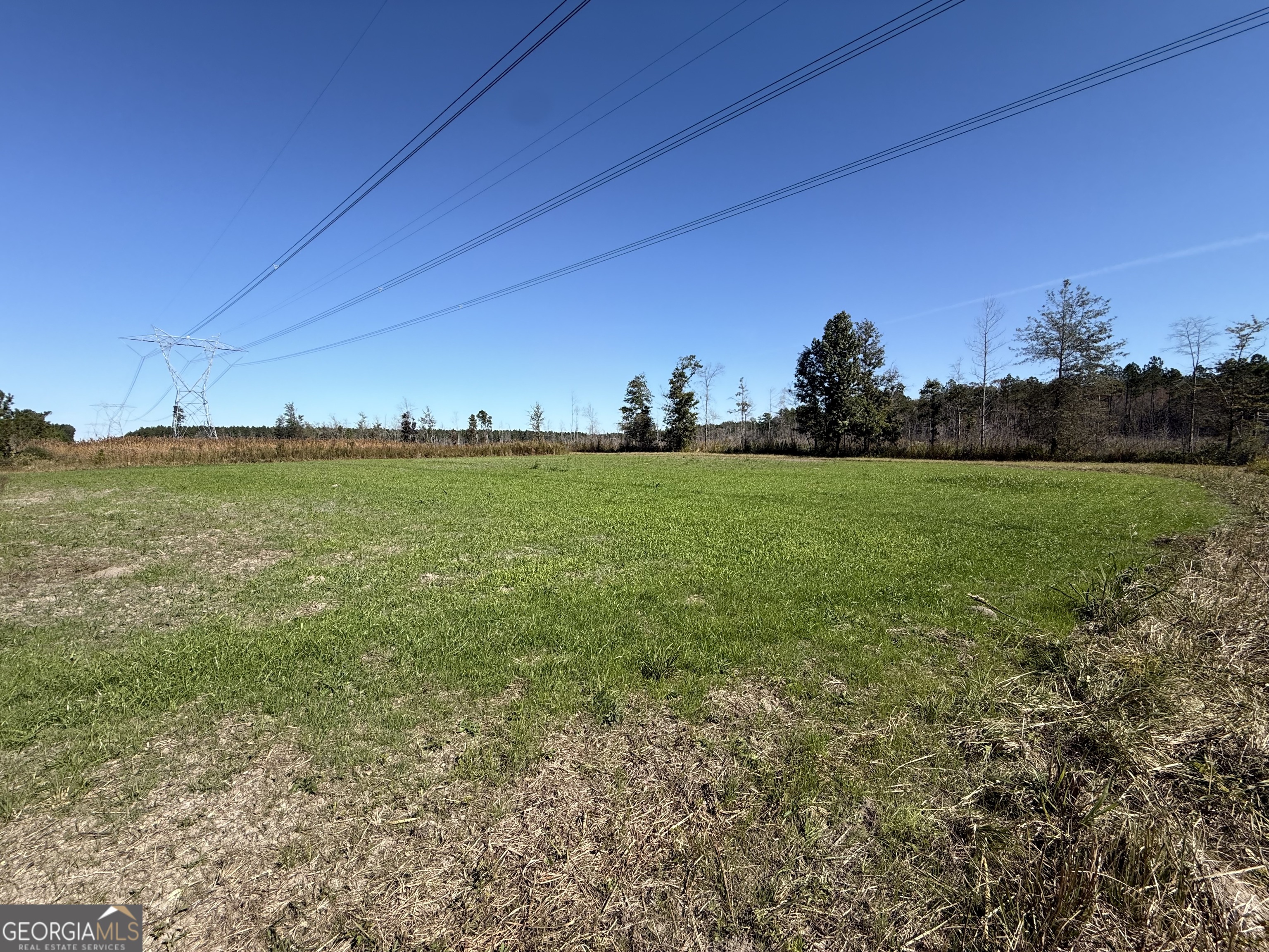 1 Newington Highway Sylvania GA 30467