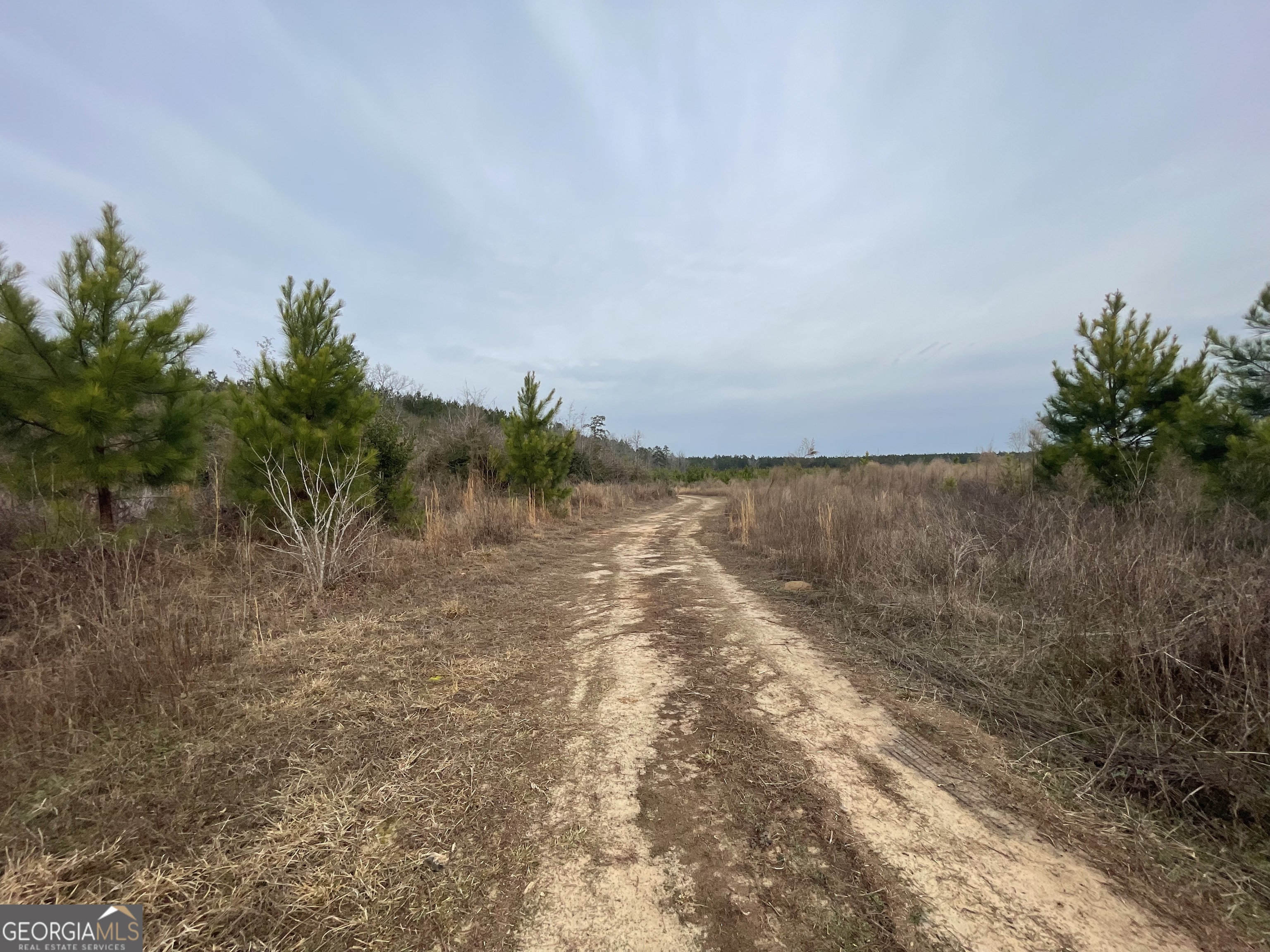 1 Newington Highway Sylvania GA 30467