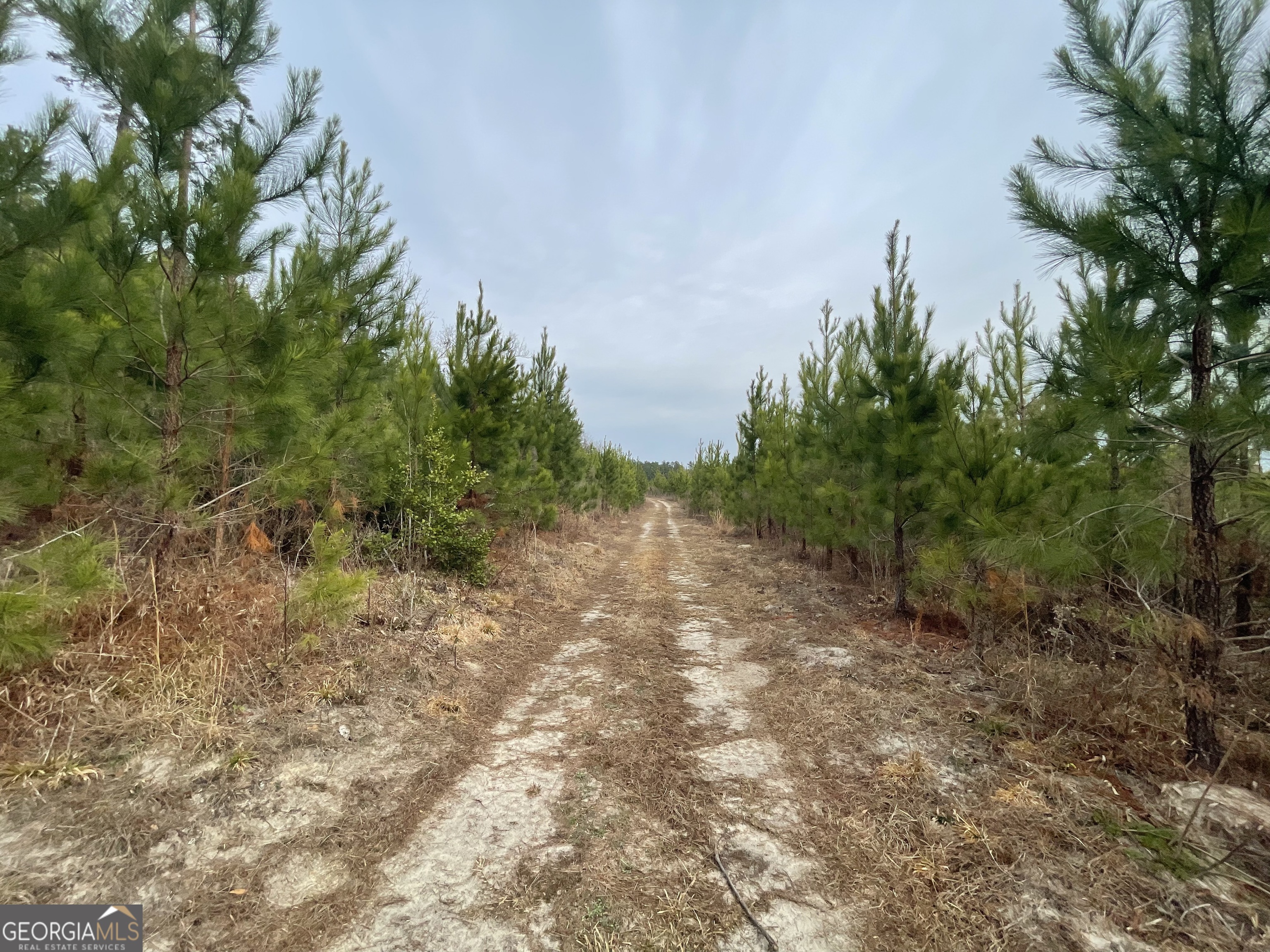 1 Newington Highway Sylvania GA 30467