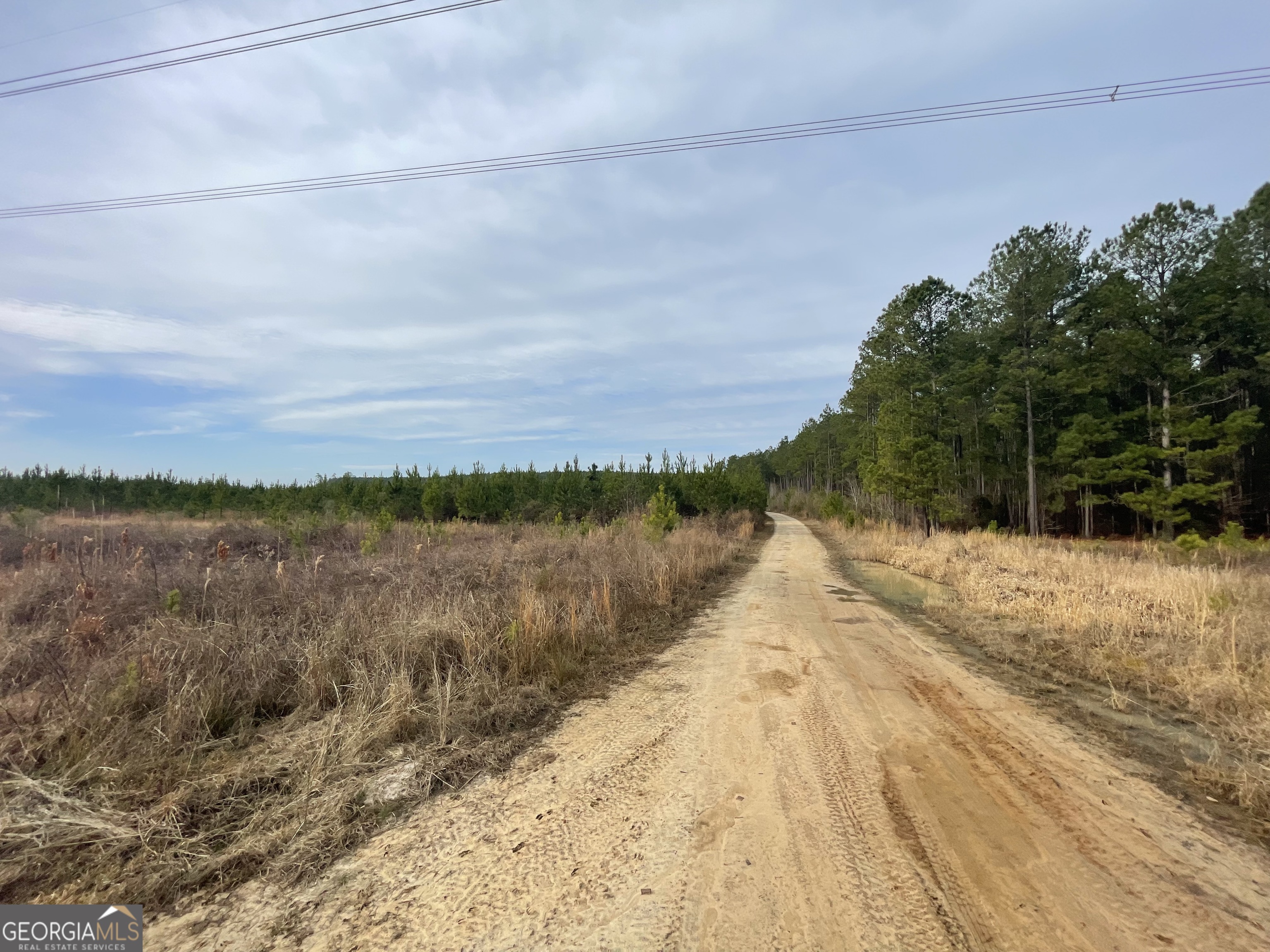 1 Newington Highway Sylvania GA 30467