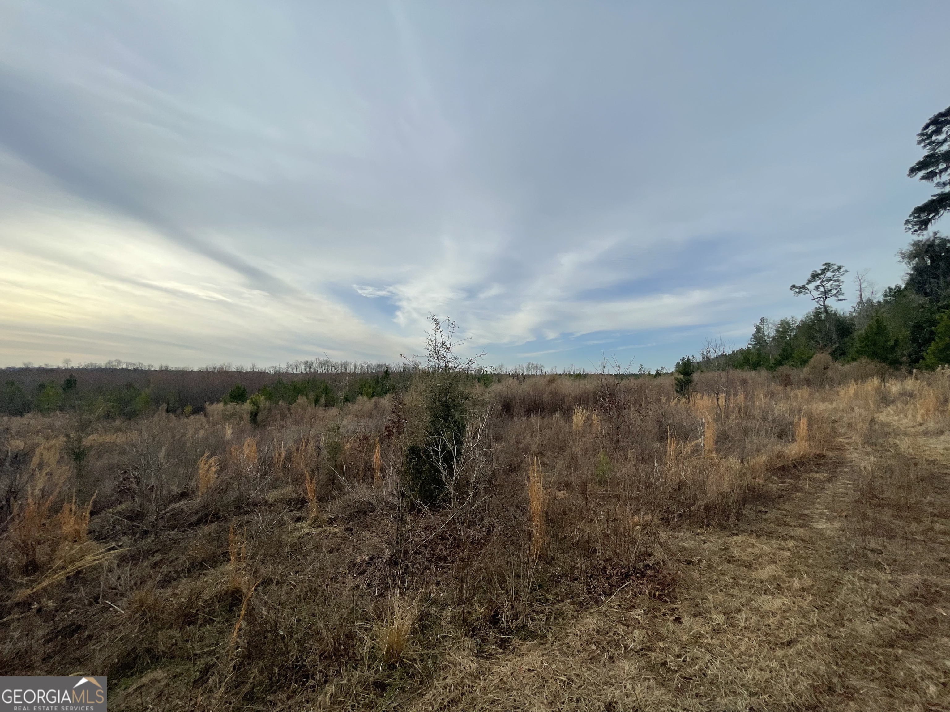 1 Newington Highway Sylvania GA 30467