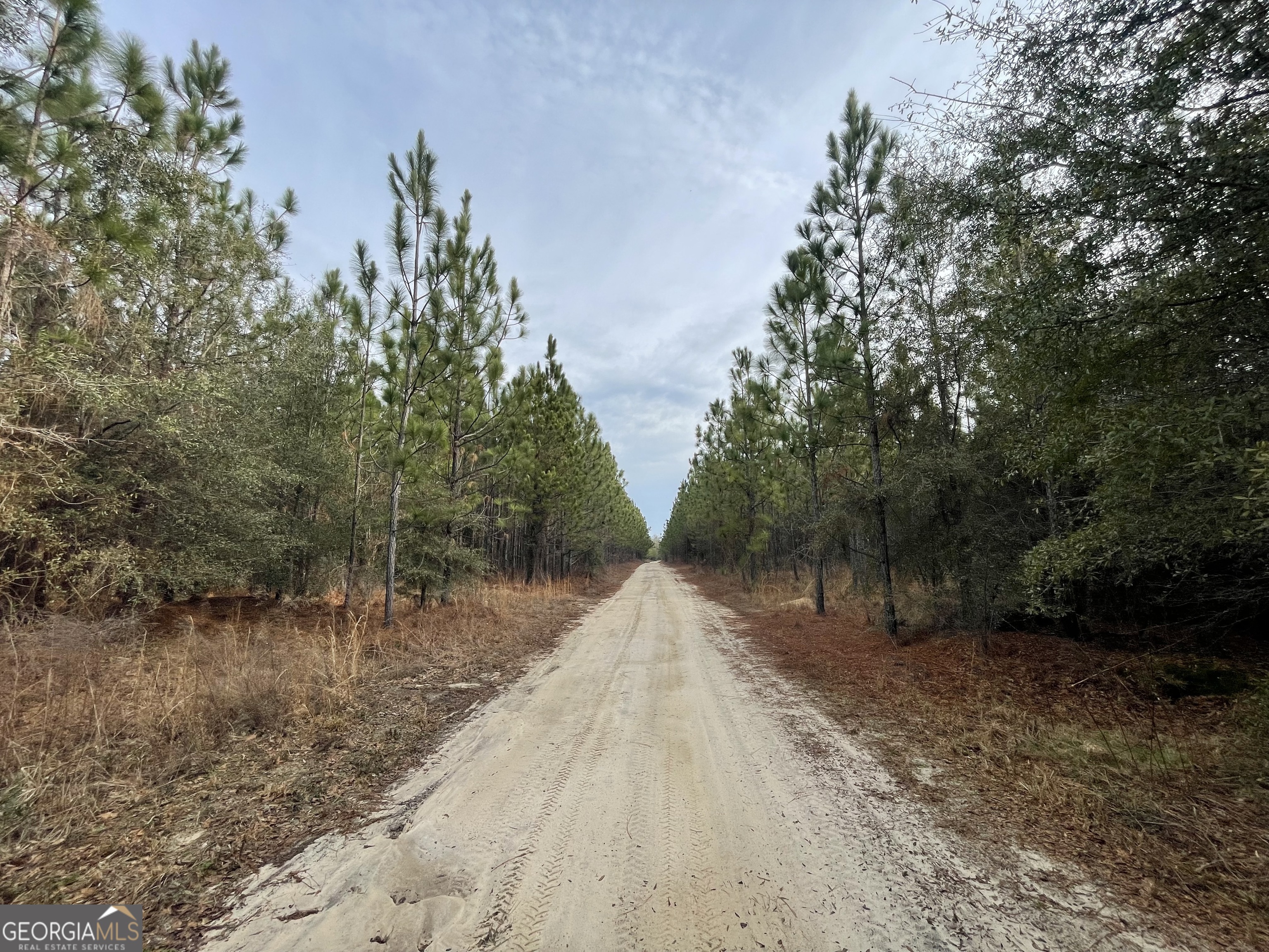 1 Newington Highway Sylvania GA 30467