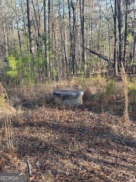 1070 E Highway 78 Lexington GA 30648