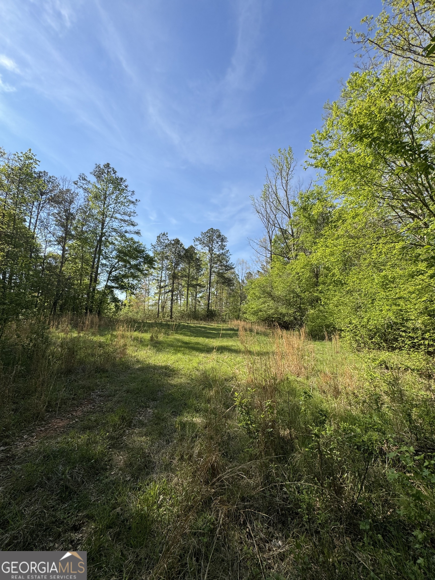 1070 E Highway 78 Lexington GA 30648