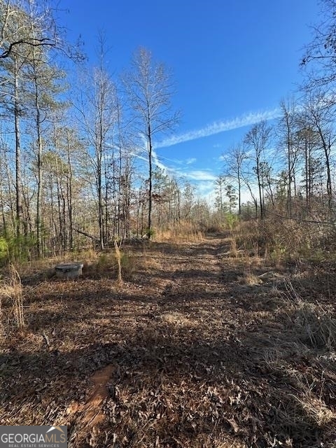 1070 E Highway 78 Lexington GA 30648