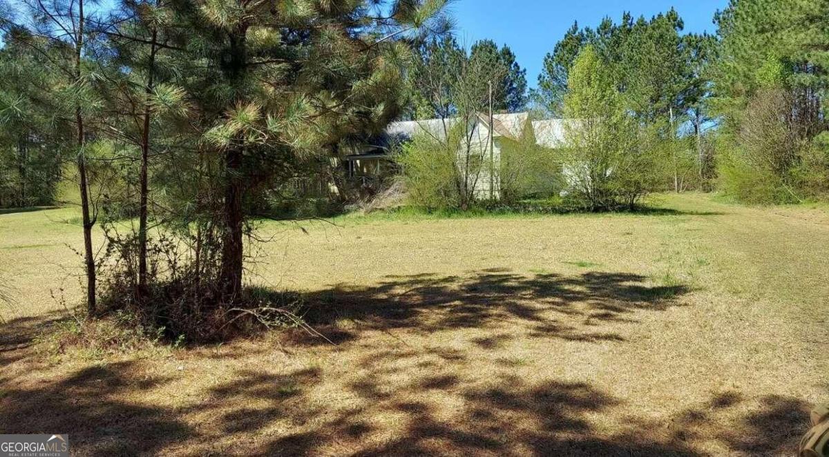 1440 Butler Road Franklin GA 30217