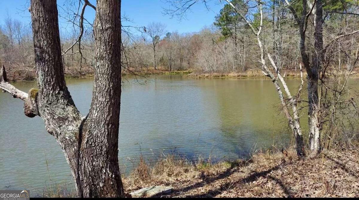 1440 Butler Road Franklin GA 30217