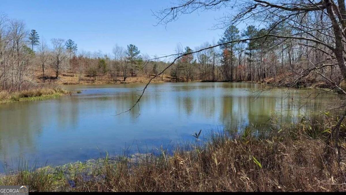 1440 Butler Road Franklin GA 30217