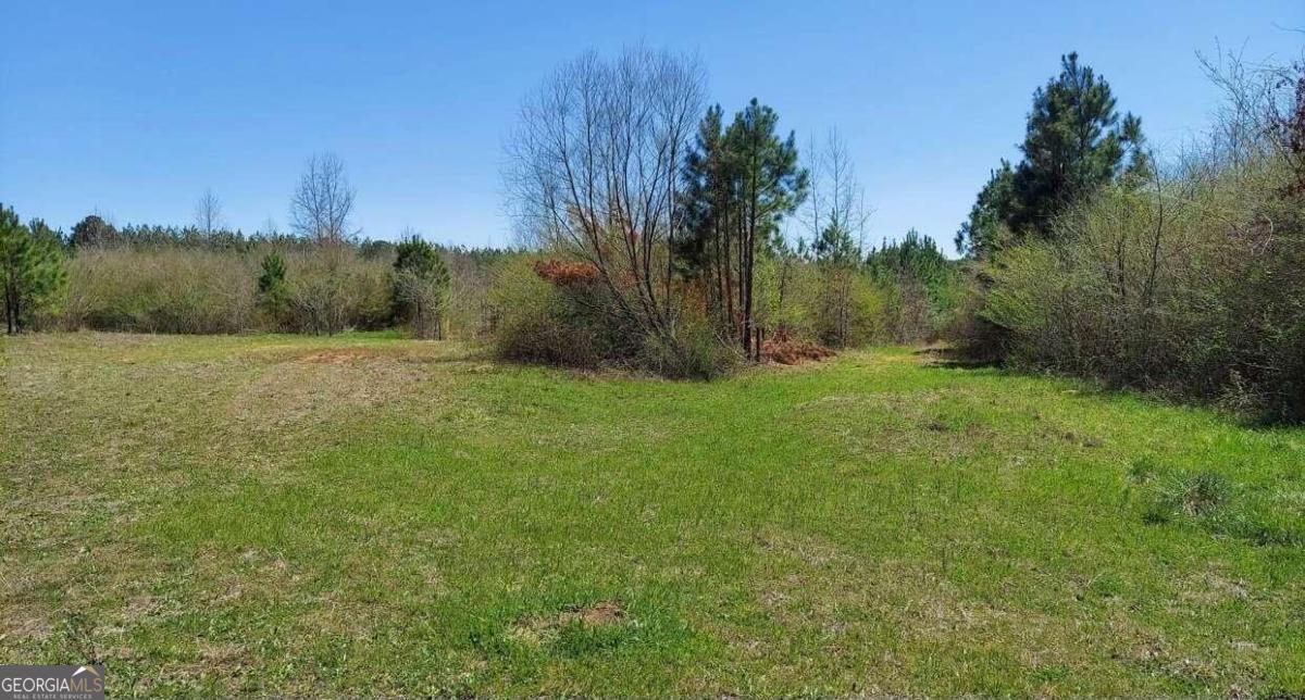 1440 Butler Road Franklin GA 30217