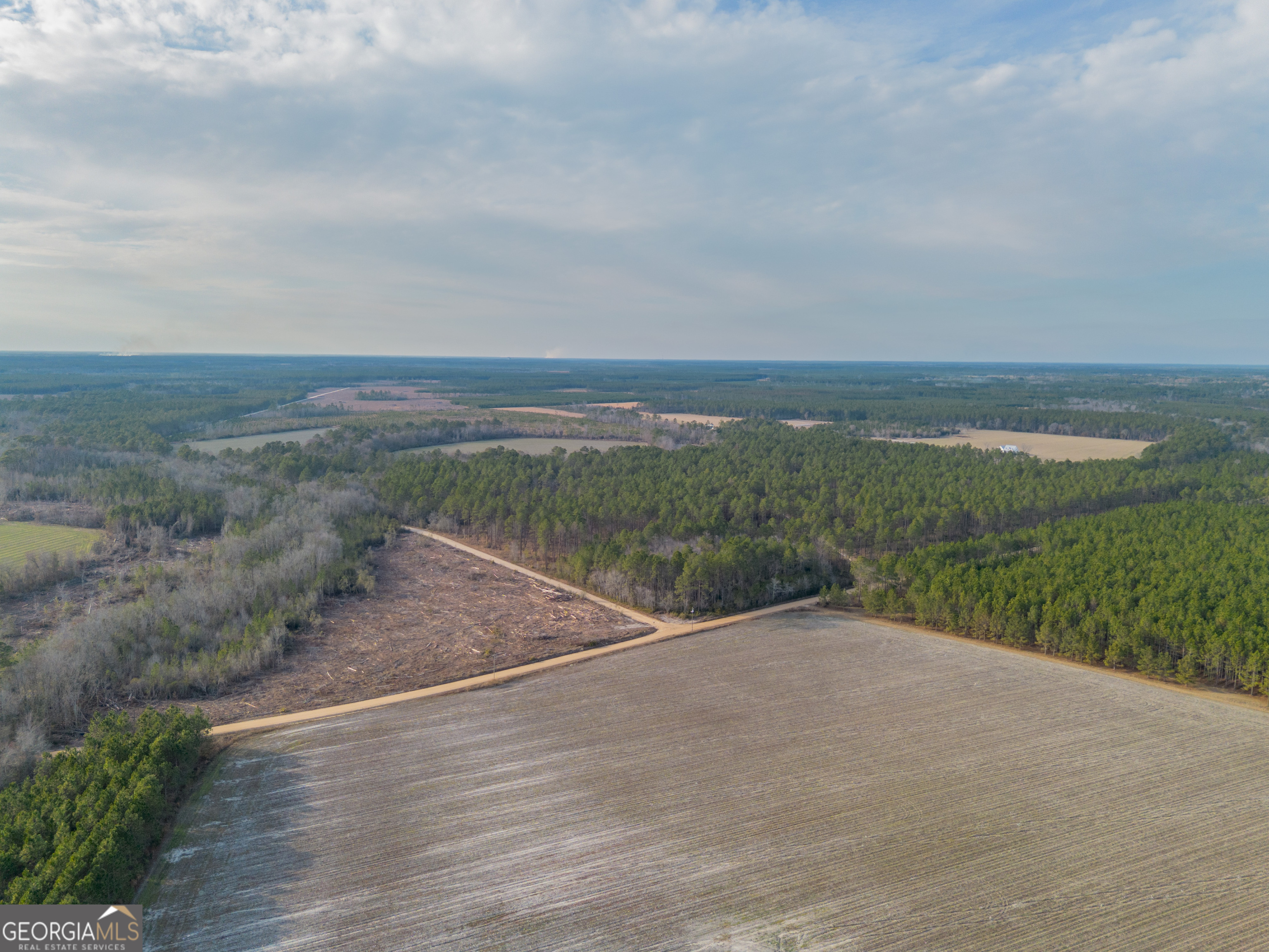 Tract 3 Reddish Road Odum GA 31555