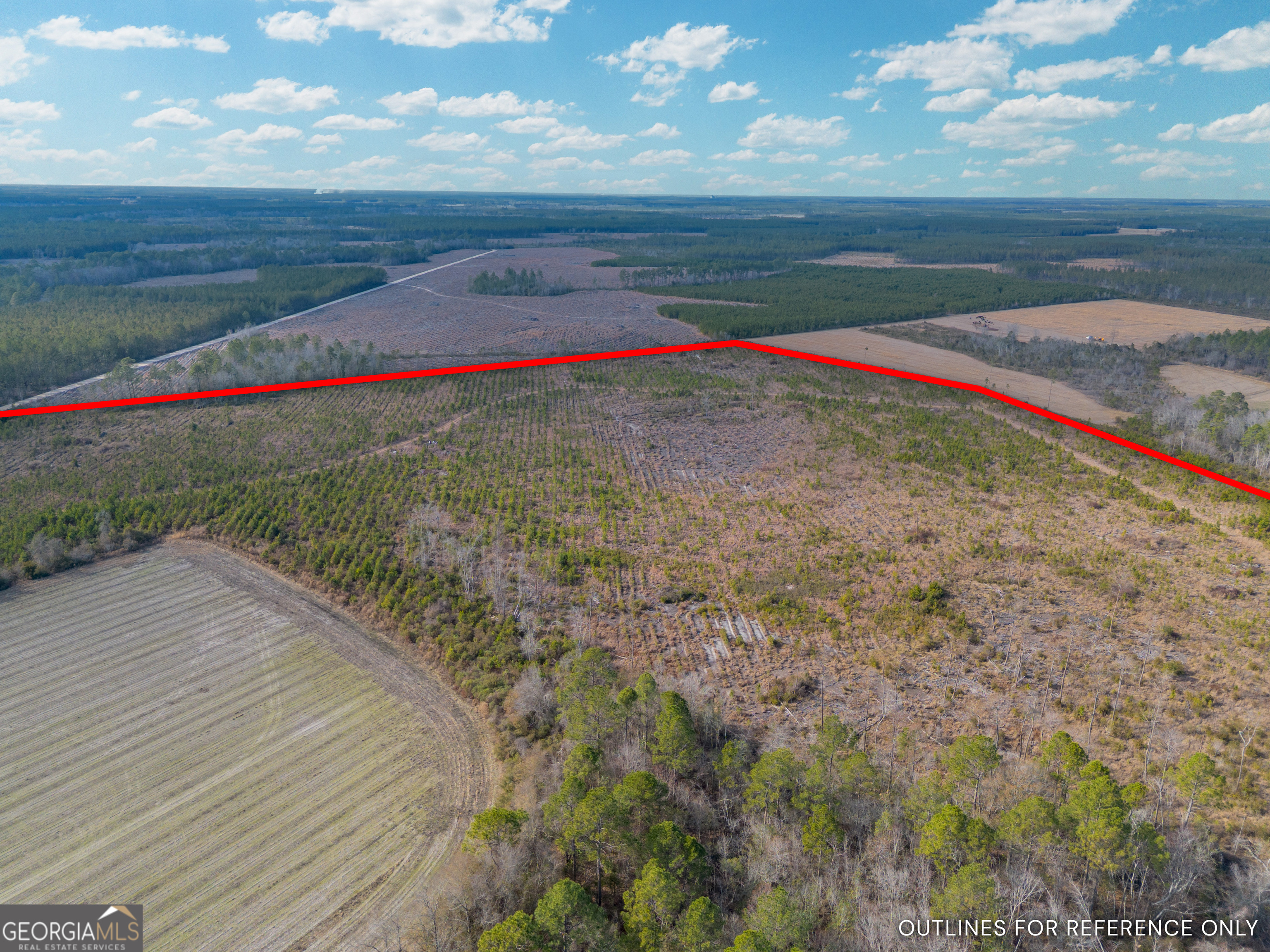 Tract 3 Reddish Road Odum GA 31555