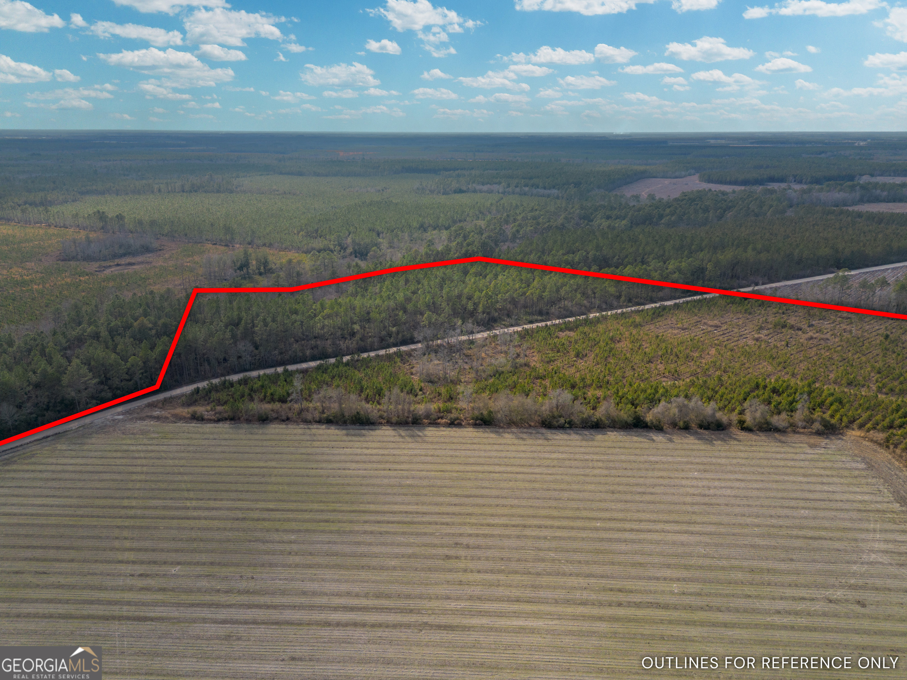 Tract 3 Reddish Road Odum GA 31555