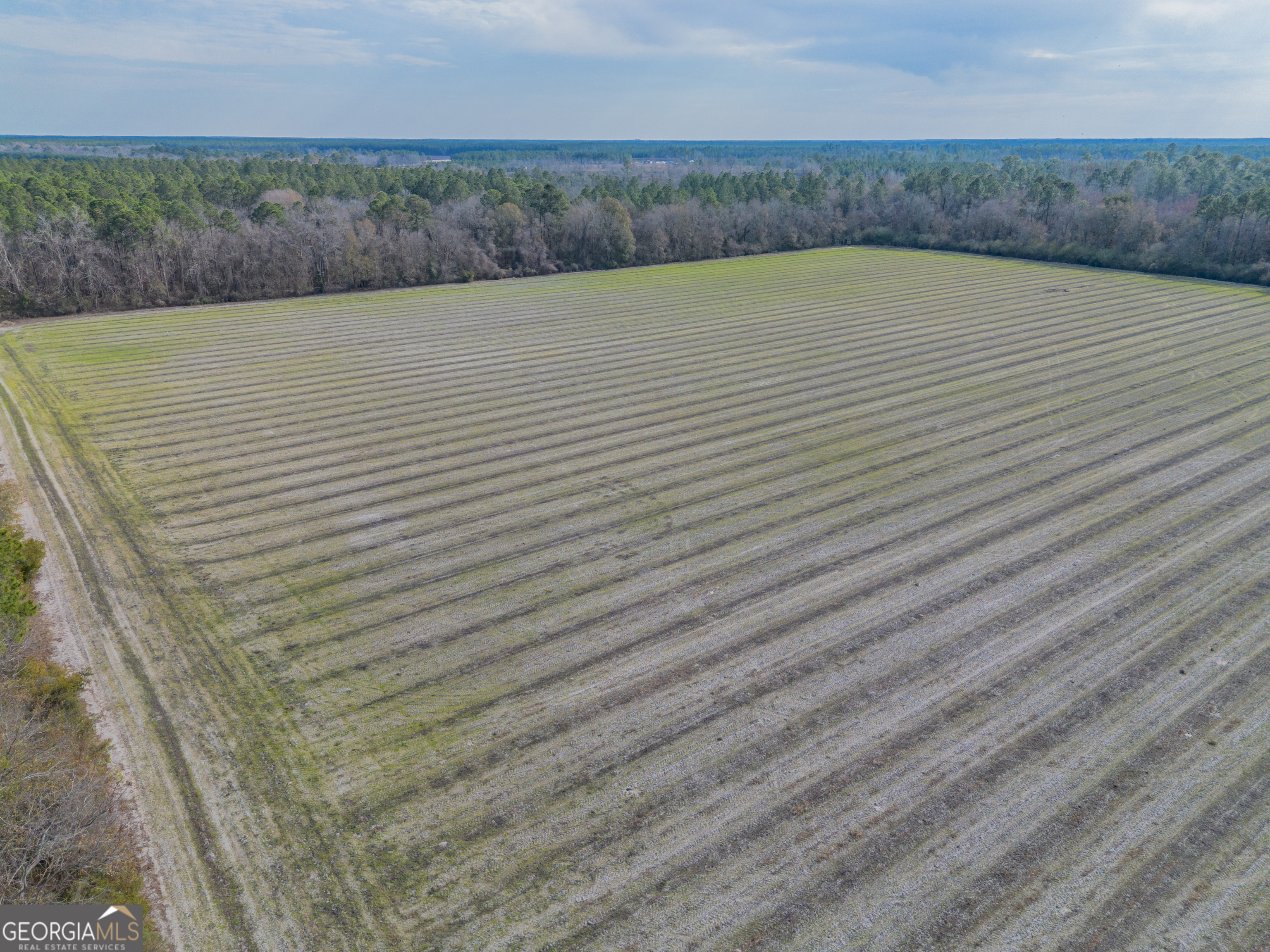 Tract 3 Reddish Road Odum GA 31555