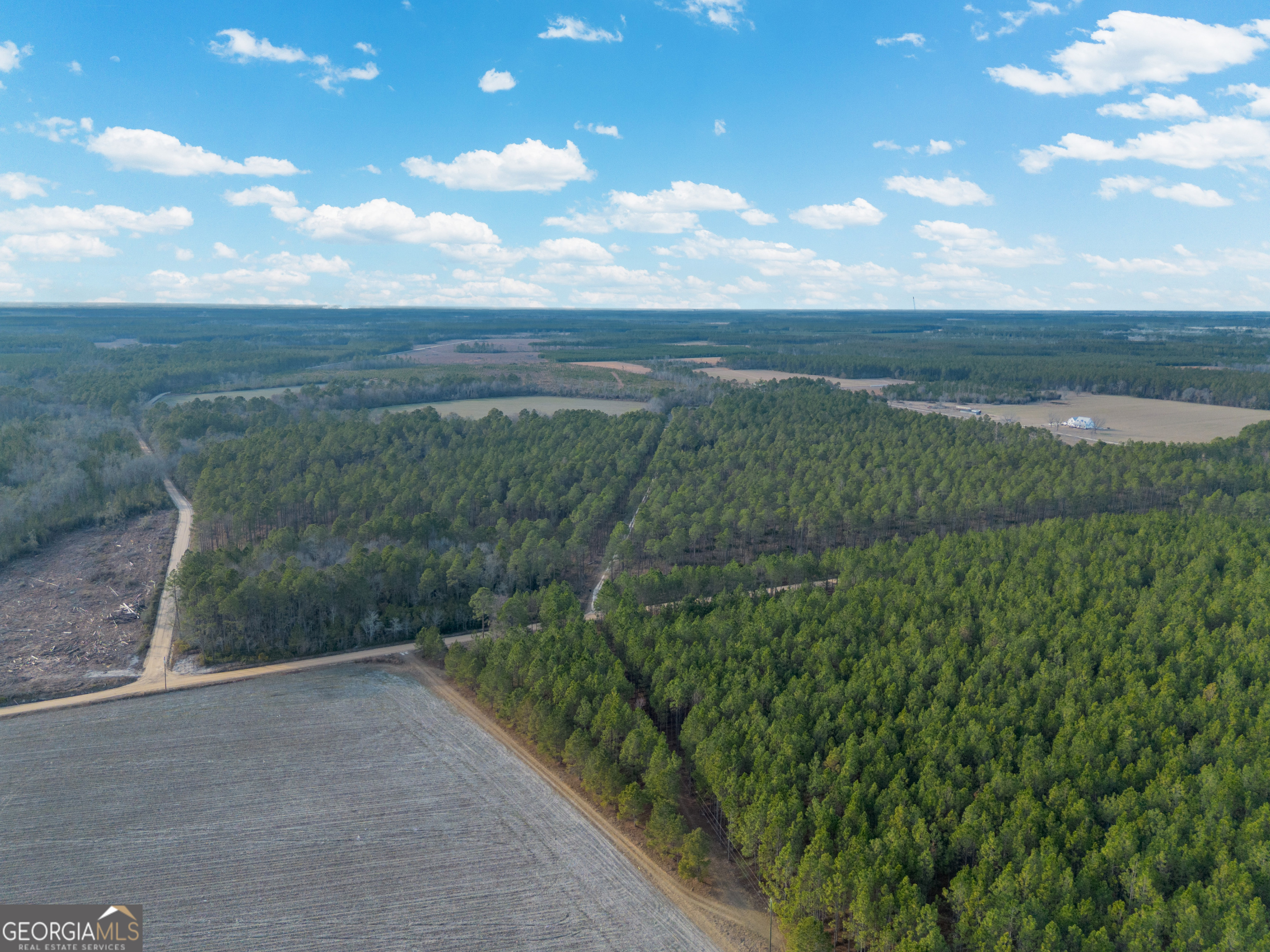 Tract 3 Reddish Road Odum GA 31555