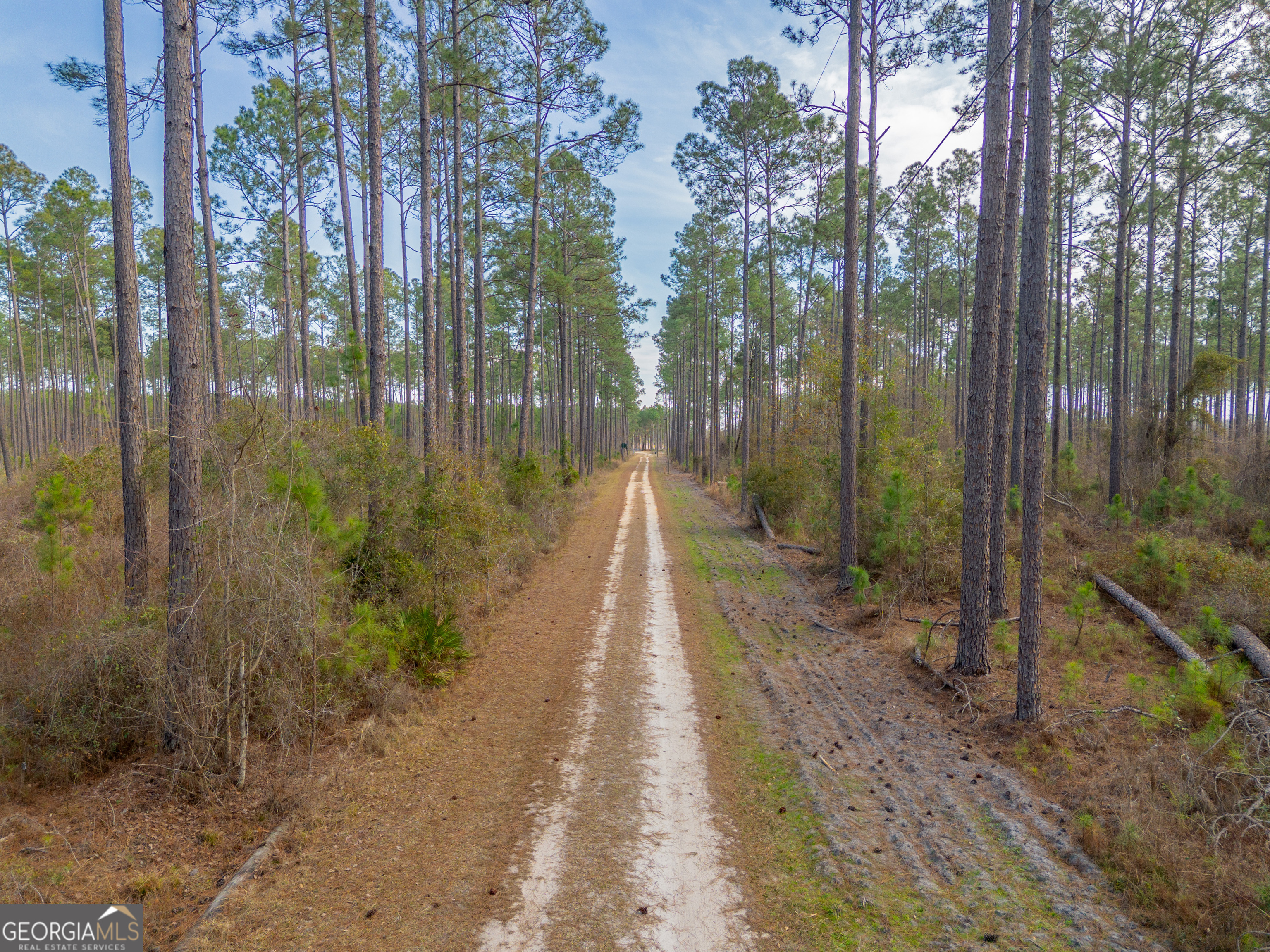 Tract 3 Reddish Road Odum GA 31555