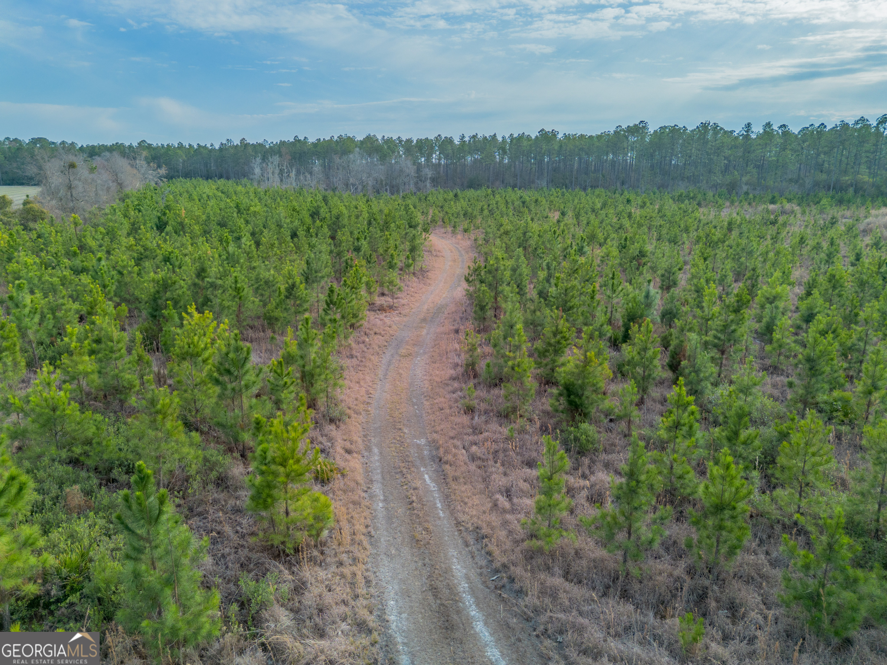 Tract 3 Reddish Road Odum GA 31555