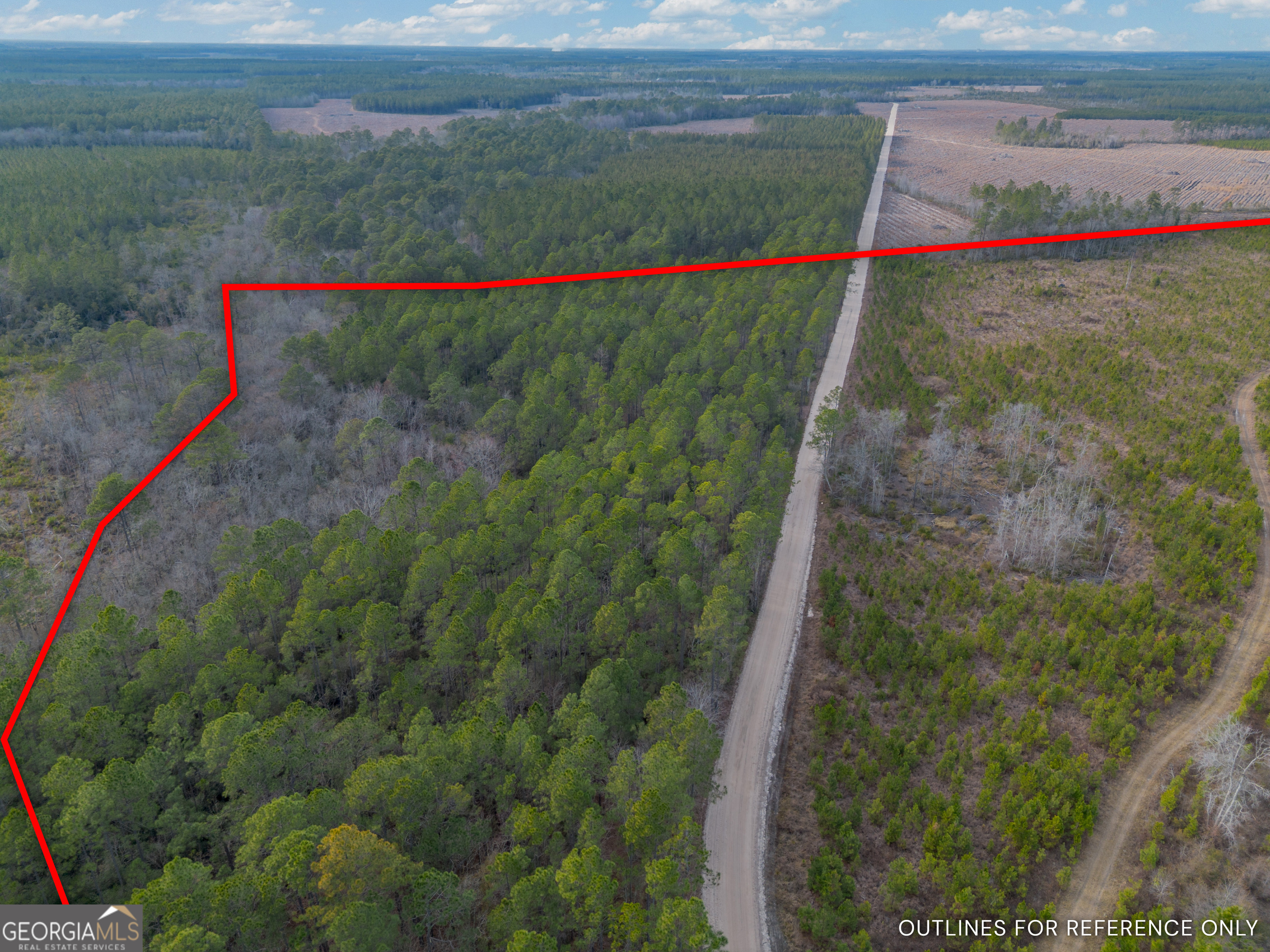 Tract 3 Reddish Road Odum GA 31555