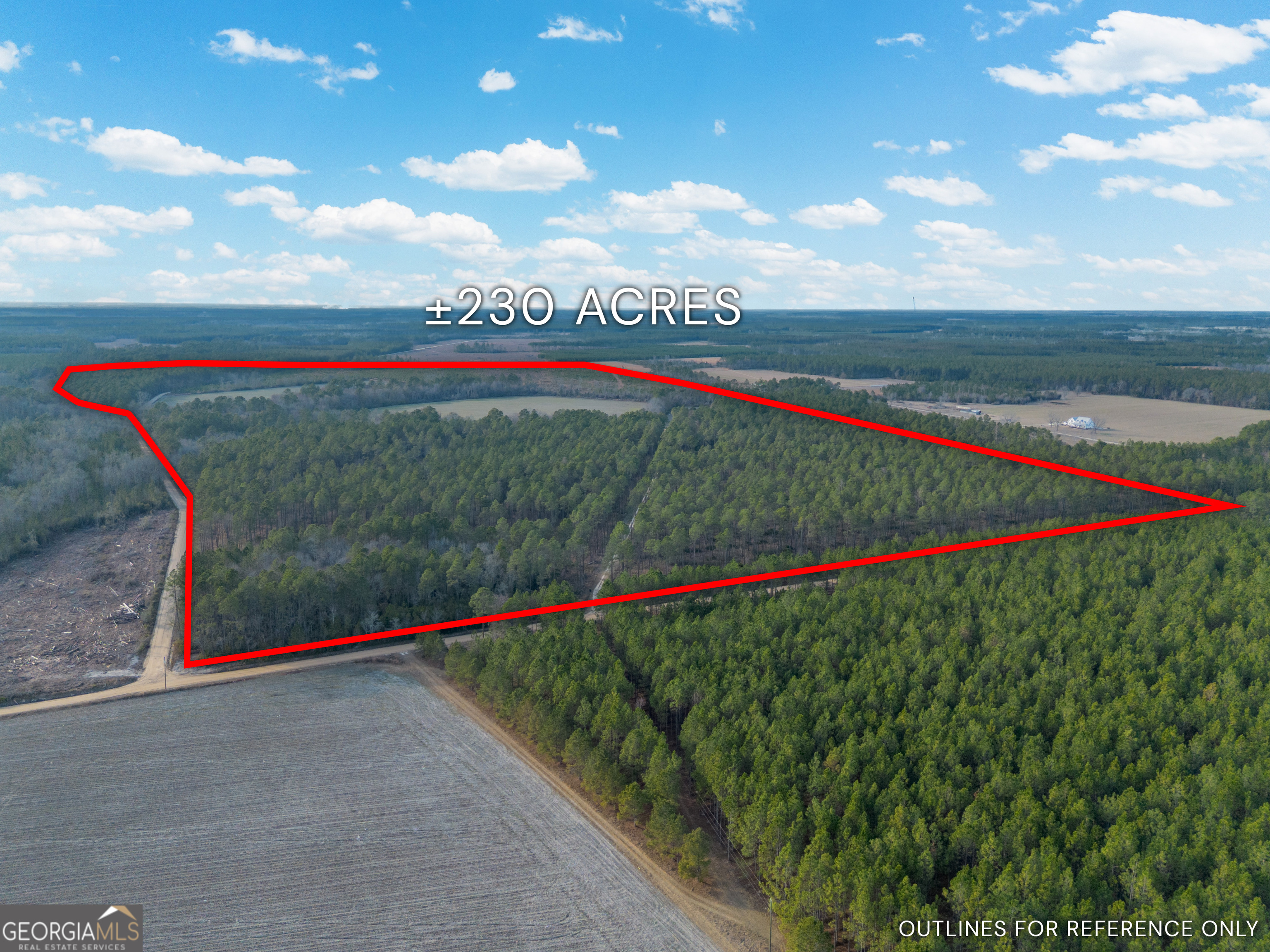 Tract 3 Reddish Road Odum GA 31555