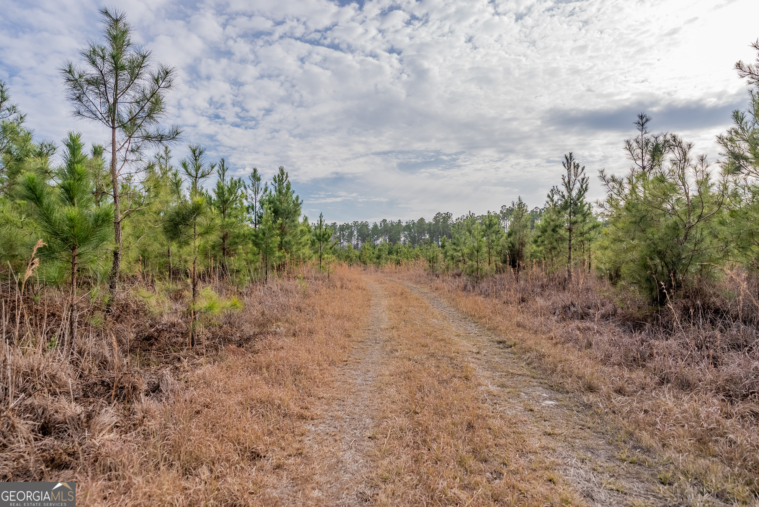 Tract 3 Reddish Road Odum GA 31555