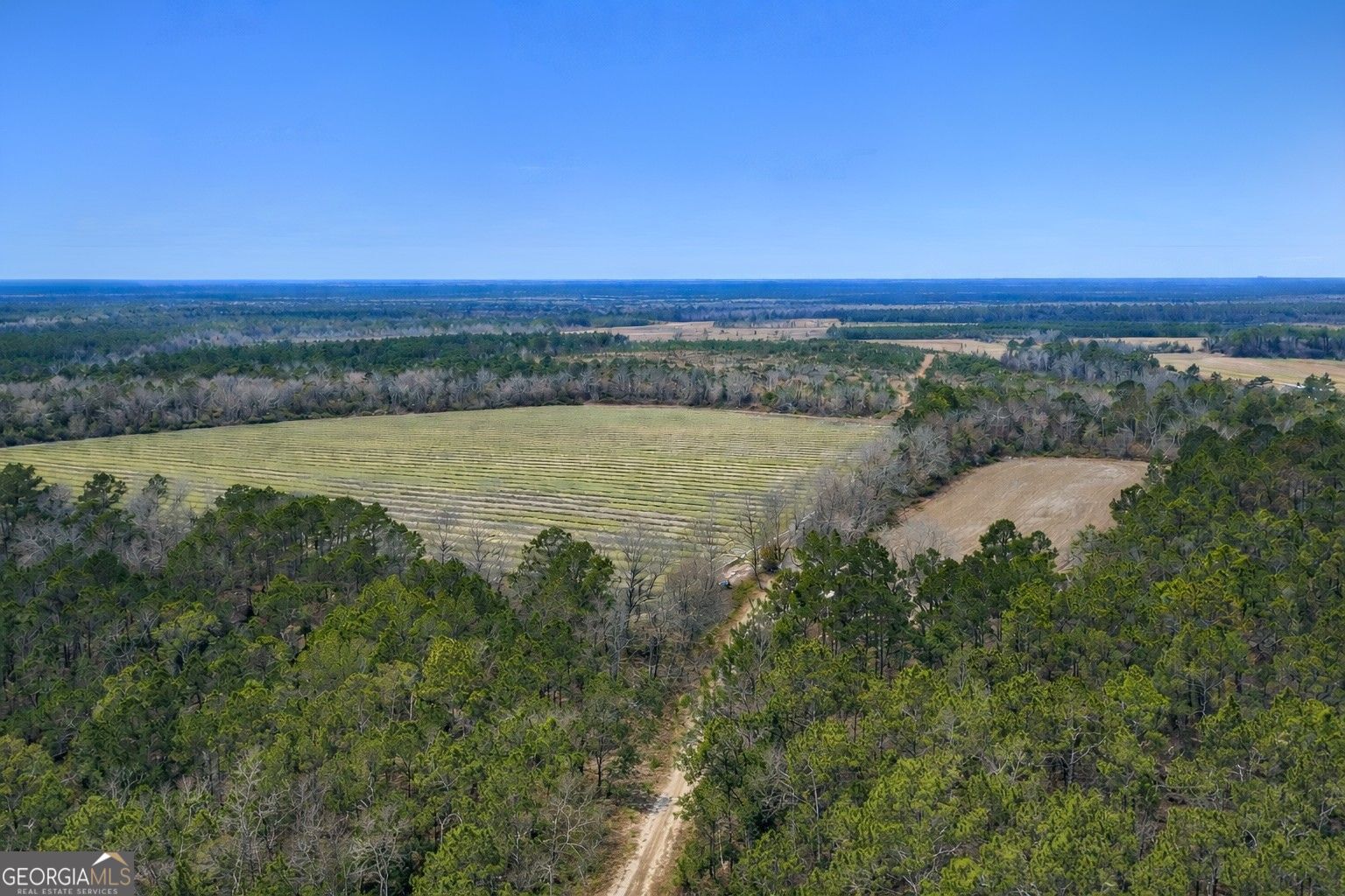 Tract 3 Reddish Road Odum GA 31555