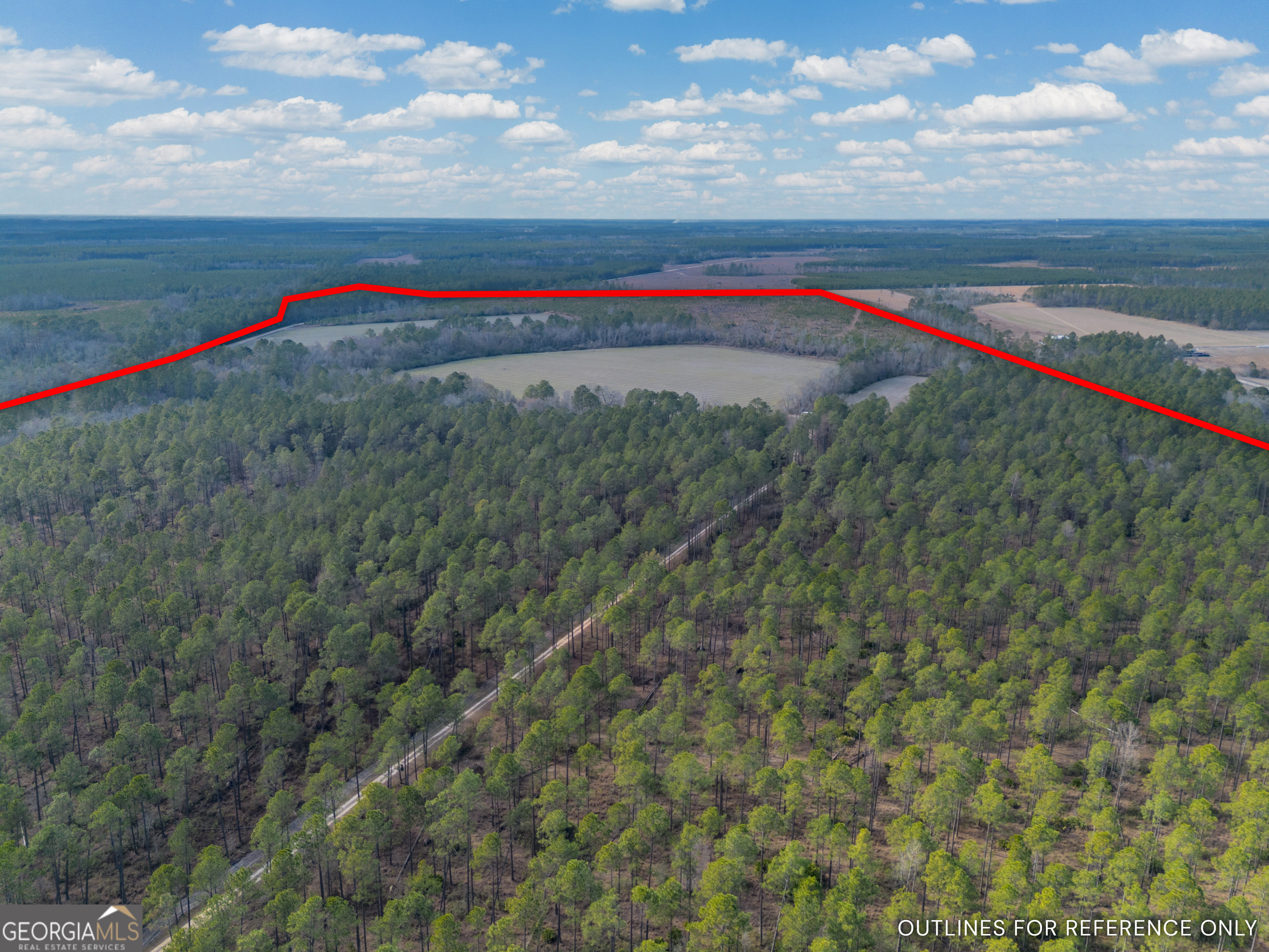 Tract 3 Reddish Road Odum GA 31555