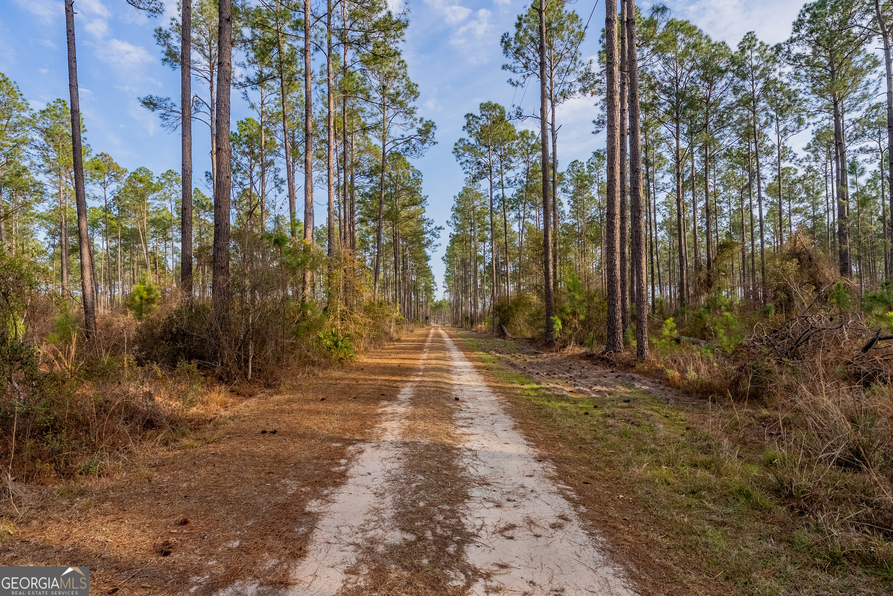 Tract 3 Reddish Road Odum GA 31555
