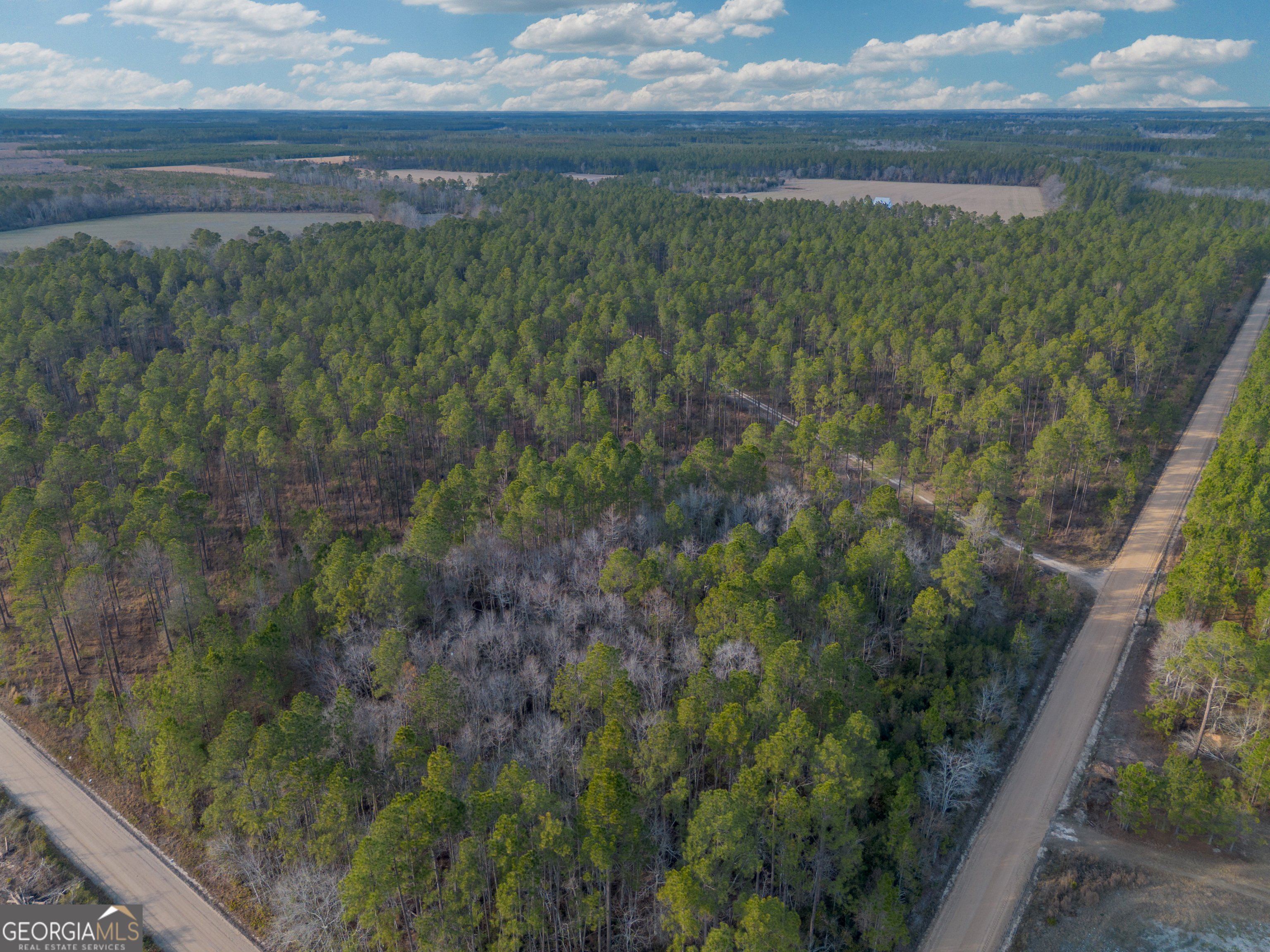 Tract 3 Reddish Road Odum GA 31555