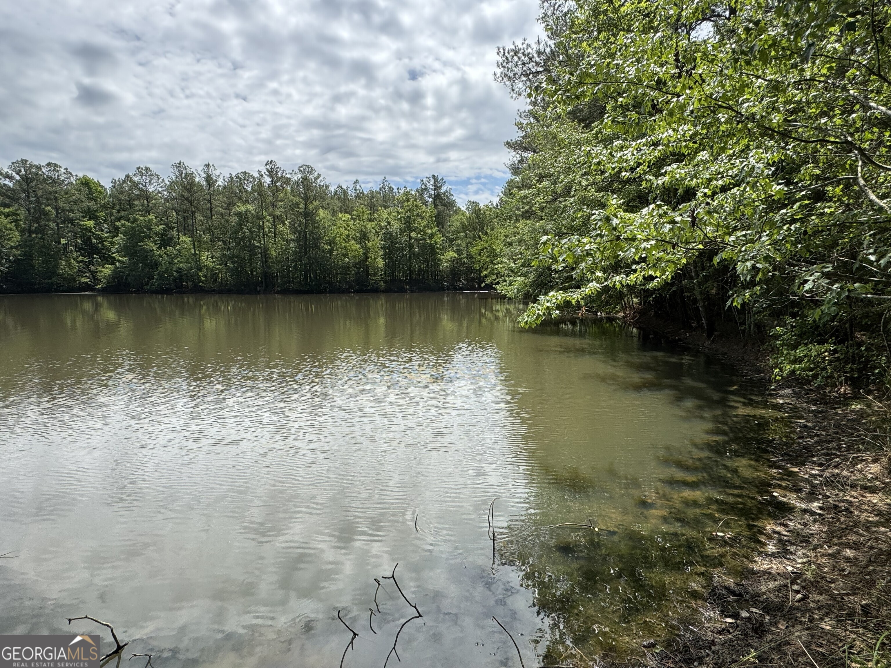 0 Flatwoods & Colonel Dixon Roads Elberton GA 30635