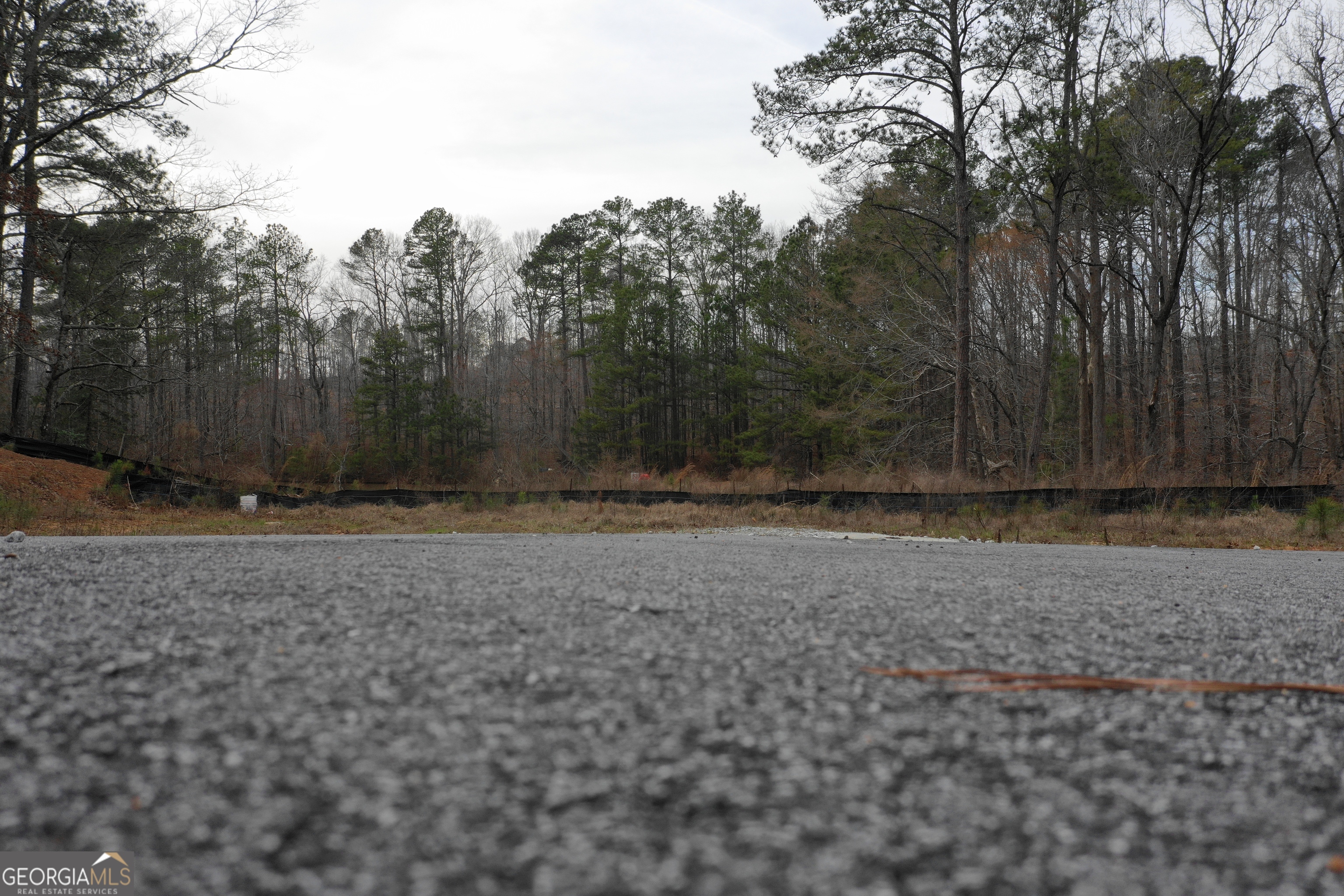 0 SW Union Church Road Stockbridge GA 30281
