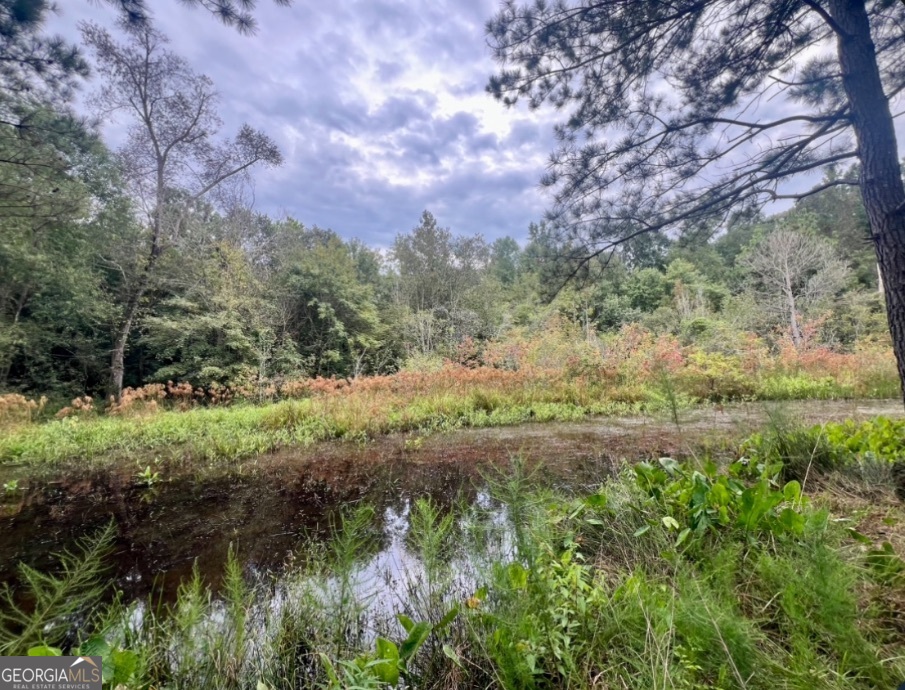 0 Mccarty Dodd Road Colbert GA 30628