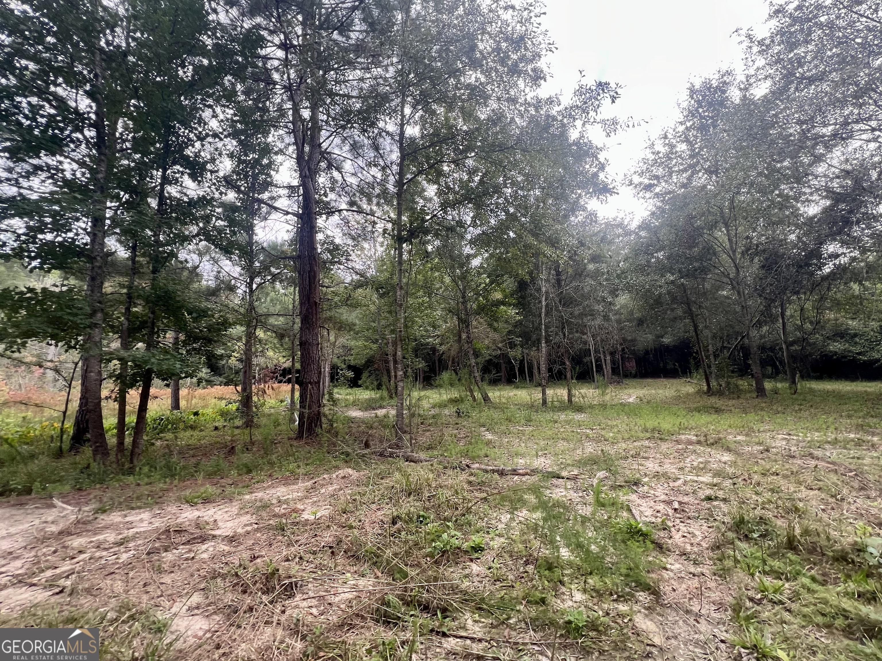 0 Mccarty Dodd Road Colbert GA 30628