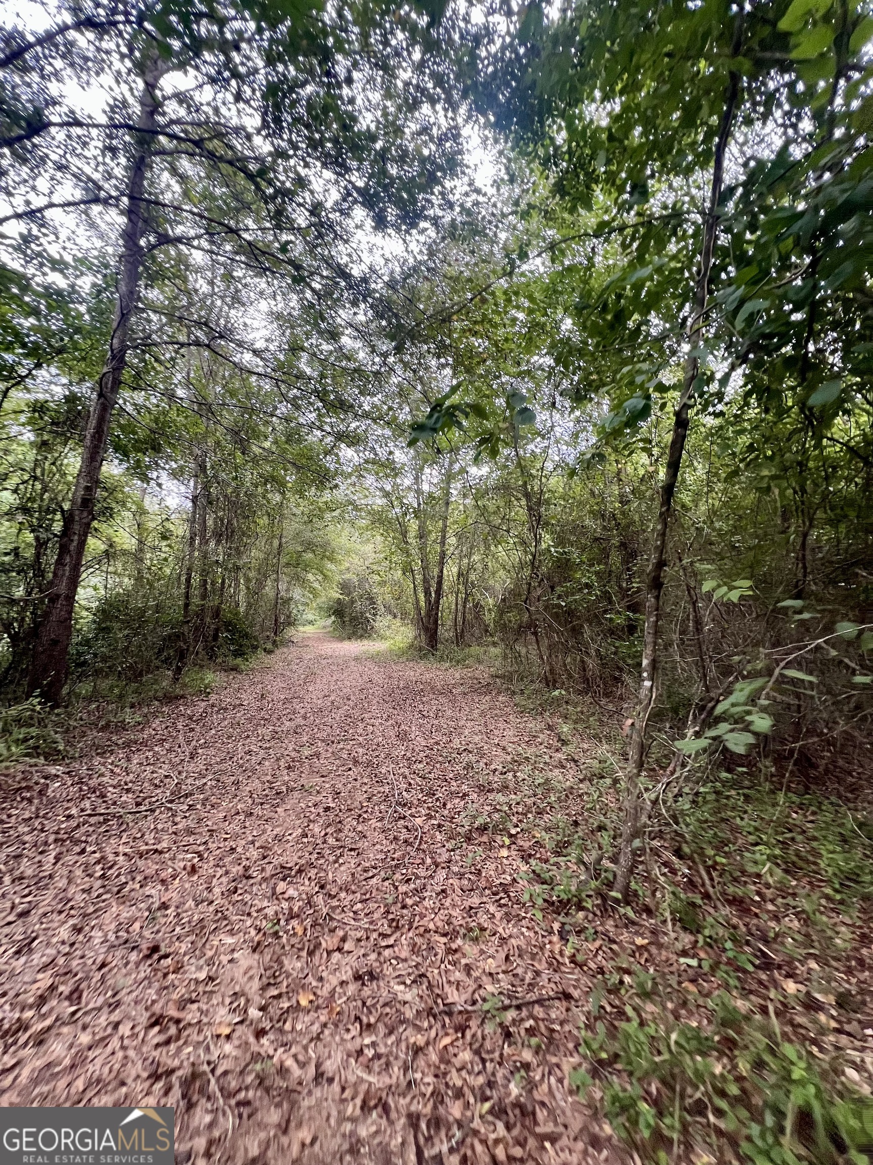 0 Mccarty Dodd Road Colbert GA 30628
