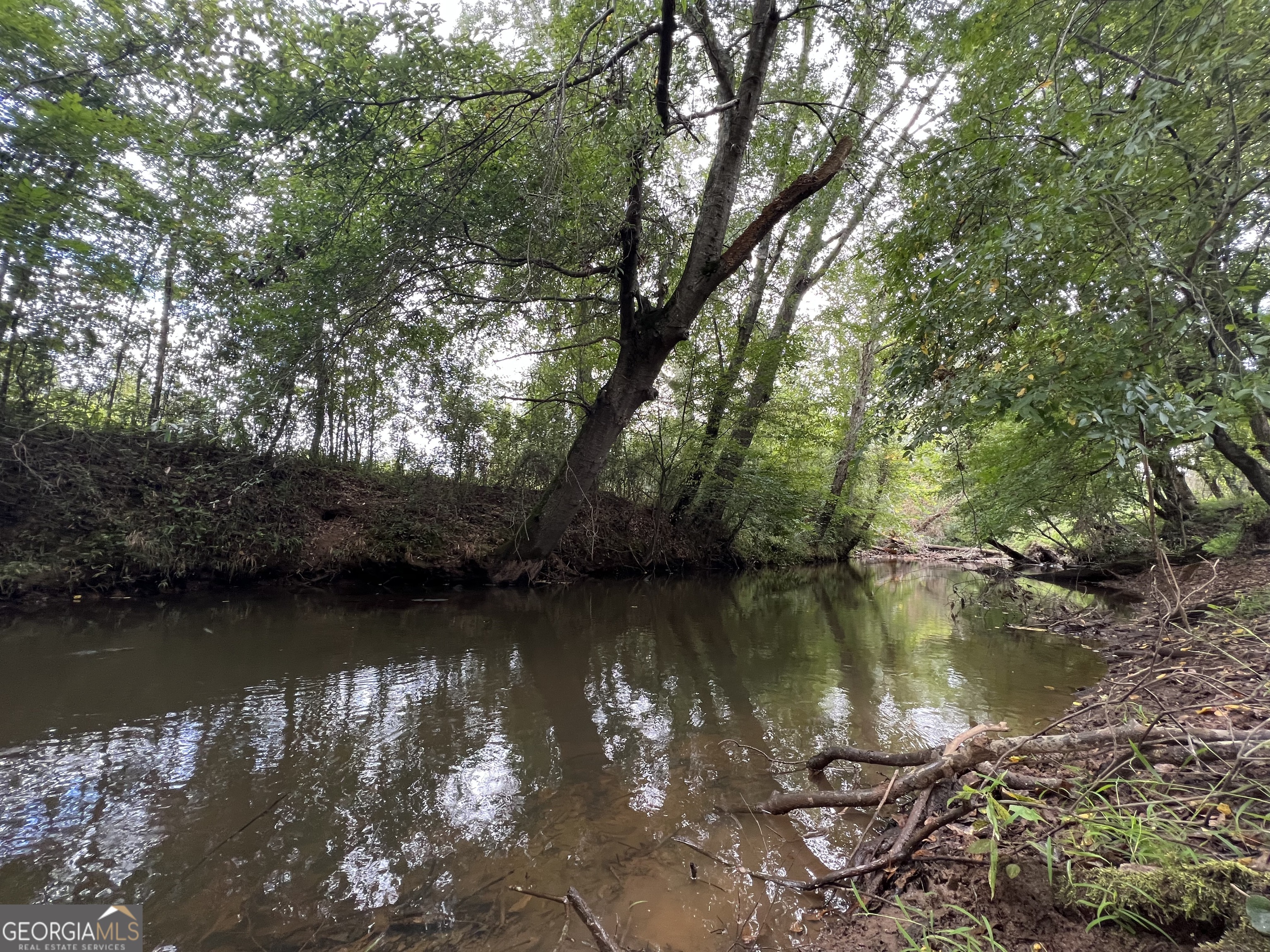 0 Mccarty Dodd Road Colbert GA 30628