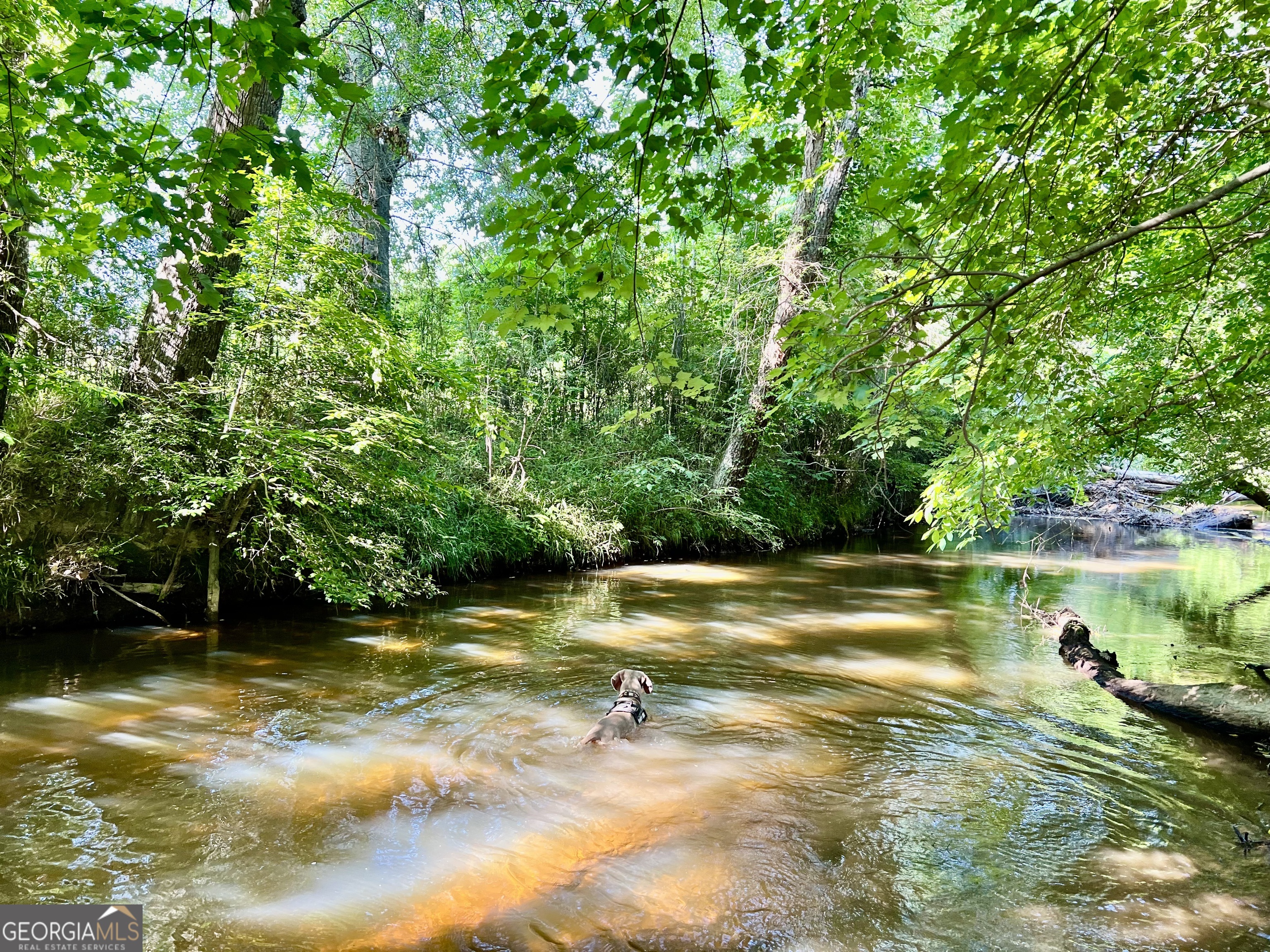 0 Mccarty Dodd Road Colbert GA 30628