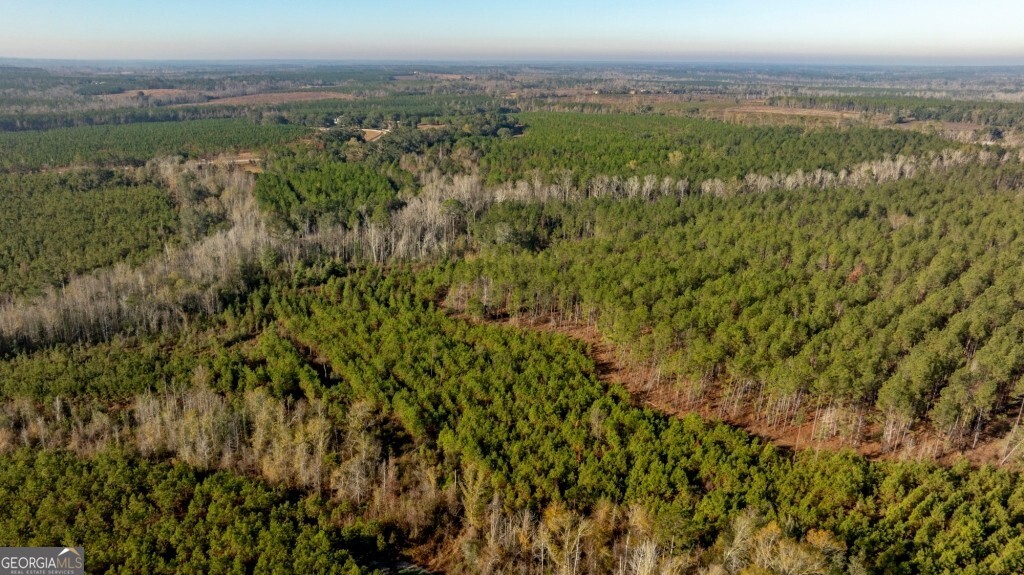 0 S Highway 19 & Warm Spring Road Glenwood GA 30428