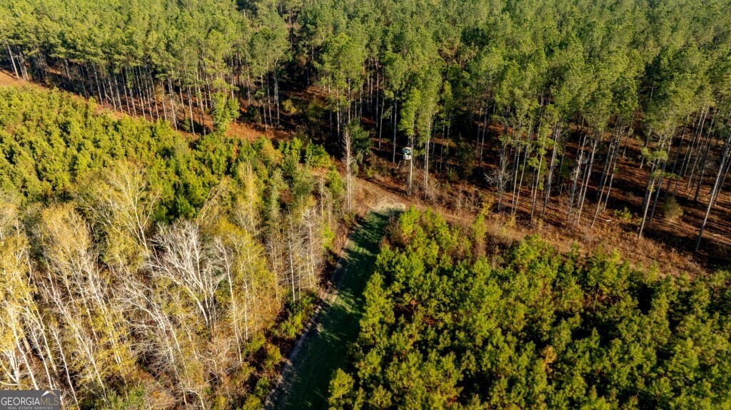 0 S Highway 19 & Warm Spring Road Glenwood GA 30428