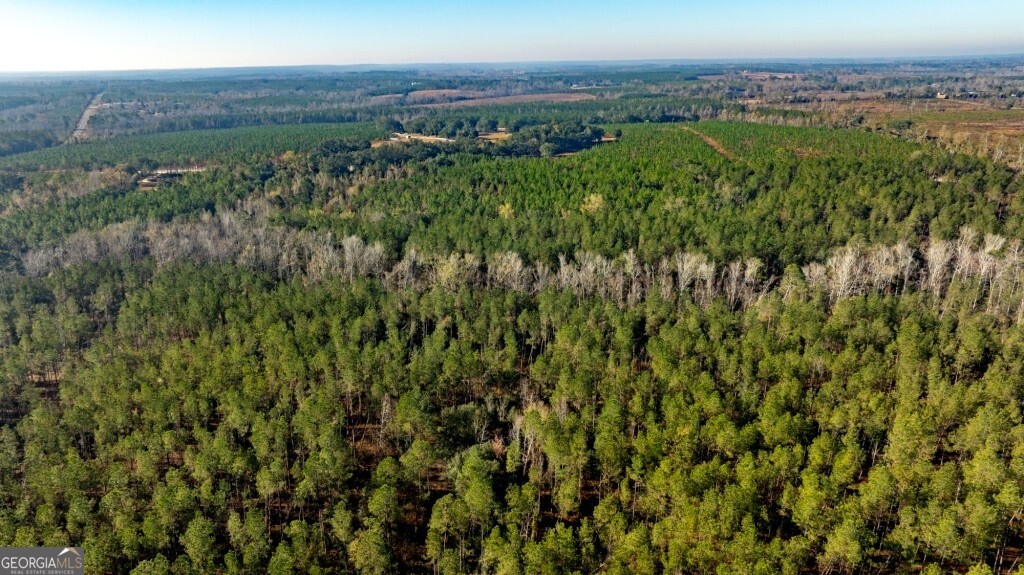 0 S Highway 19 & Warm Spring Road Glenwood GA 30428