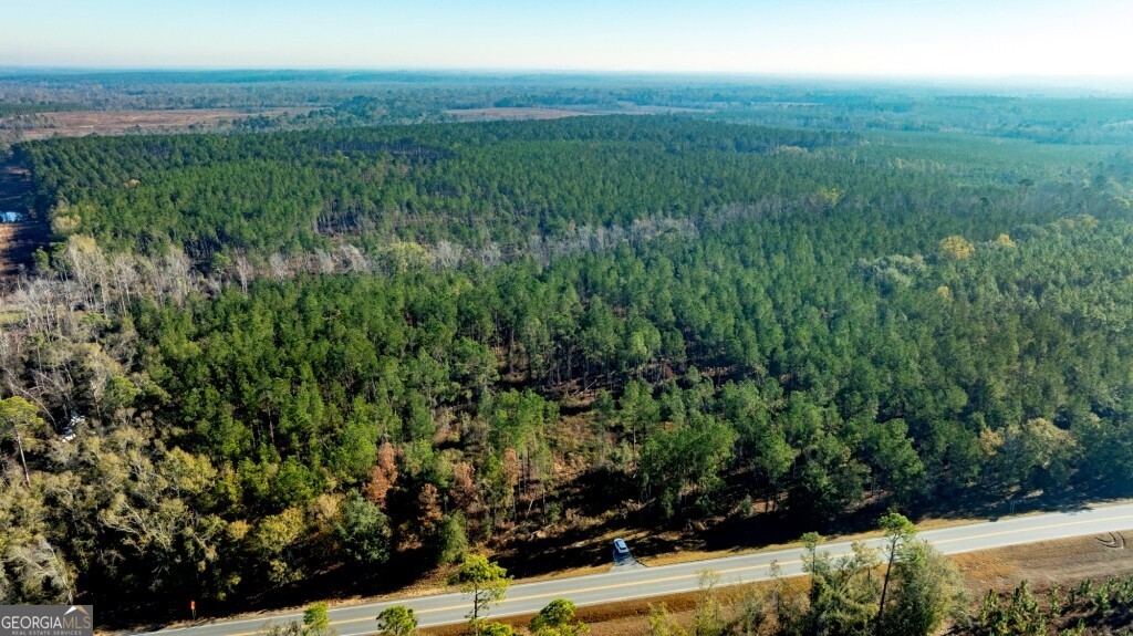 0 S Highway 19 & Warm Spring Road Glenwood GA 30428