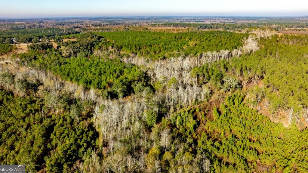 0 S Highway 19 & Warm Spring Road Glenwood GA 30428