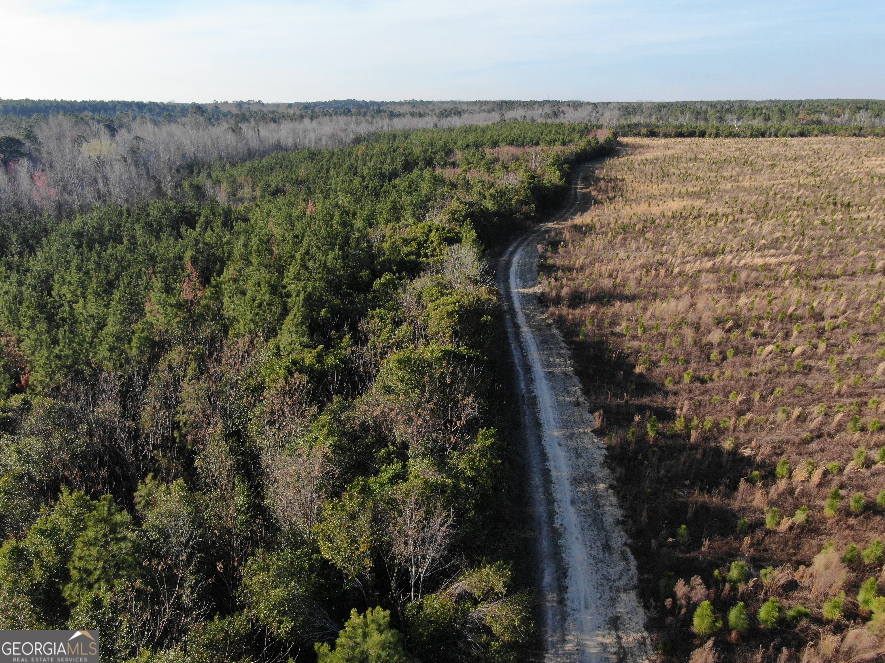 0 Airport Road Mcrae-helena GA 31037