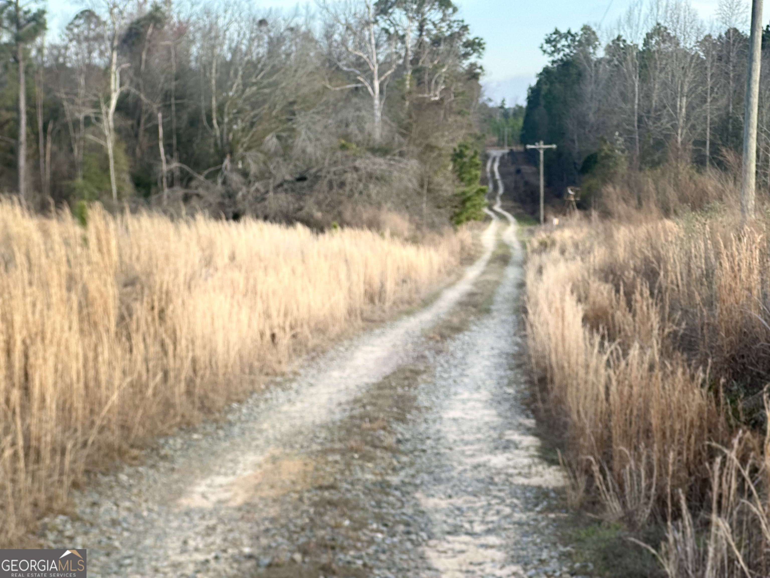0 Airport Road Mcrae-helena GA 31037